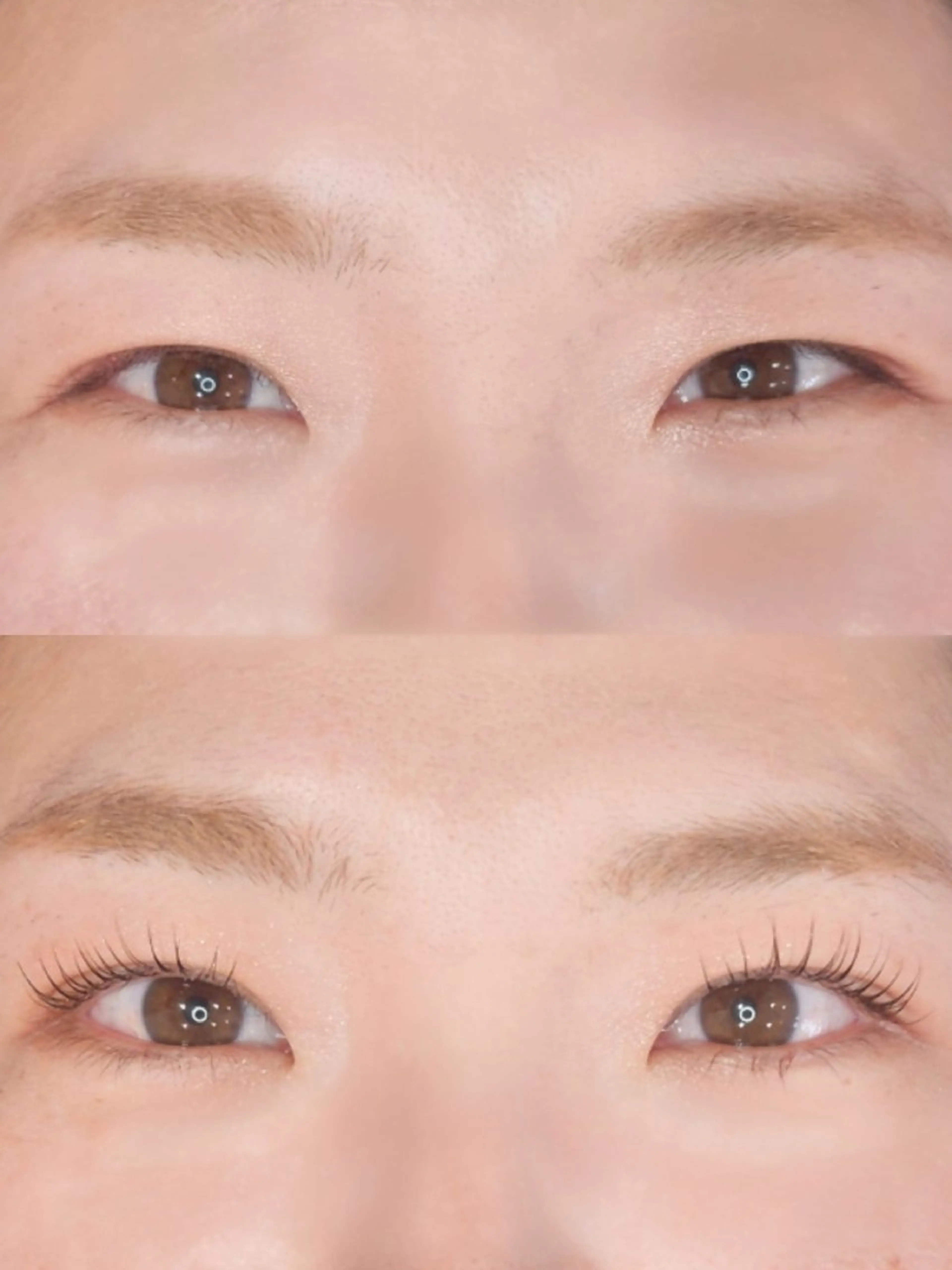 マツエク・マツパ Refoile所属・11/4open👏 Refoile🎉のマツエク・マツパデザイン