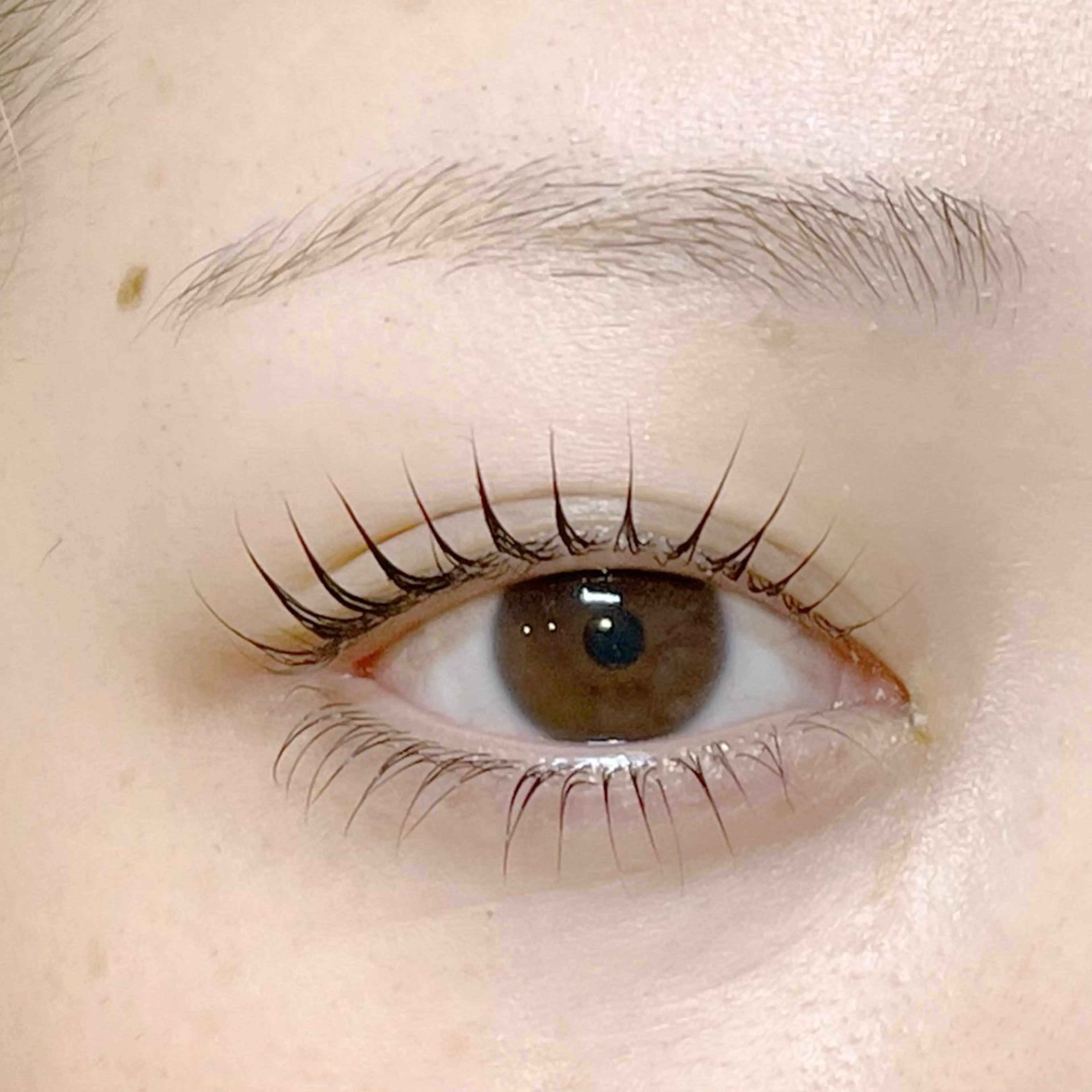 まつ毛パーマ（再来のみ）の写真