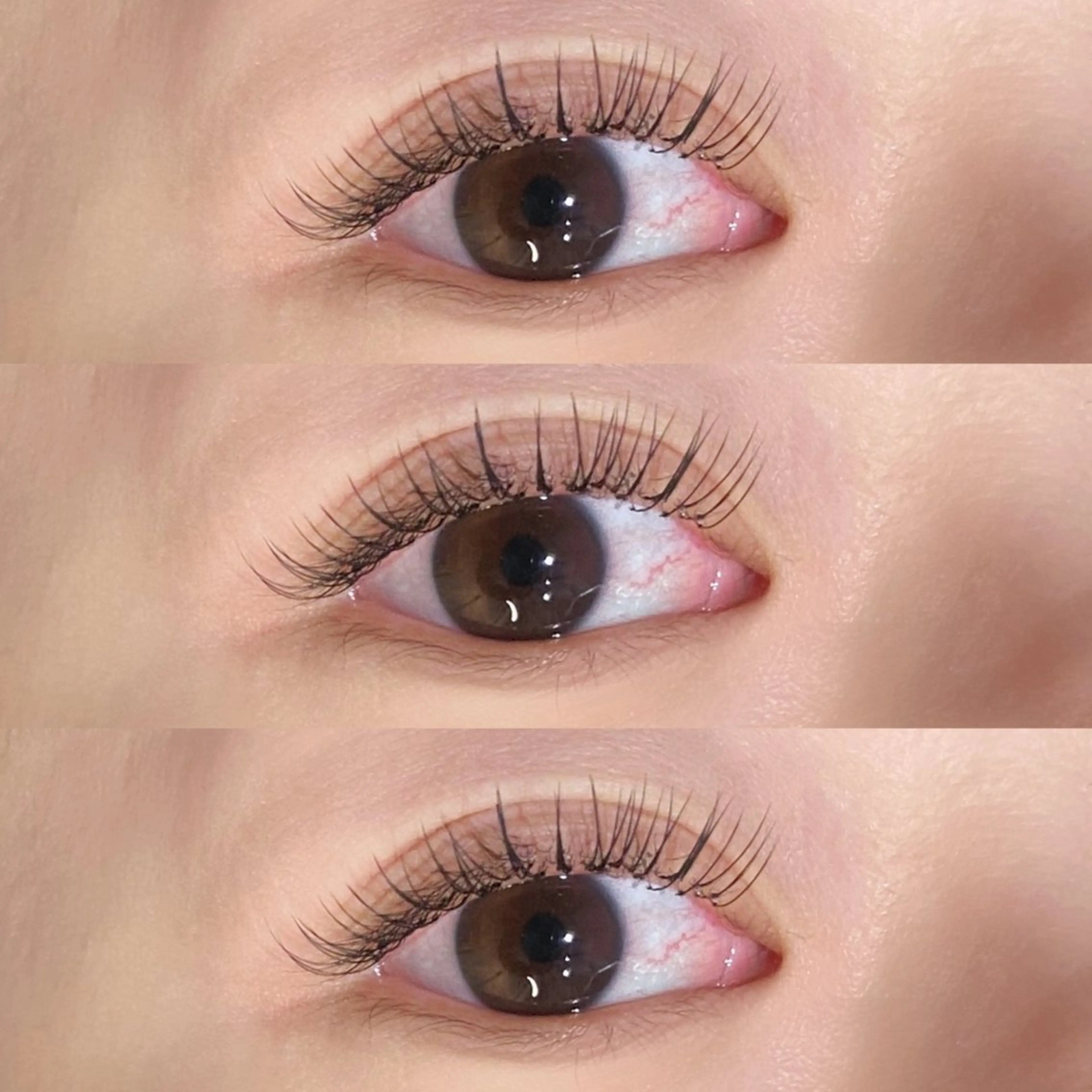 キラ目効果抜群🫧アップワード100本🫧ご新規様顧客様6500円🪷オフなし✖️の写真