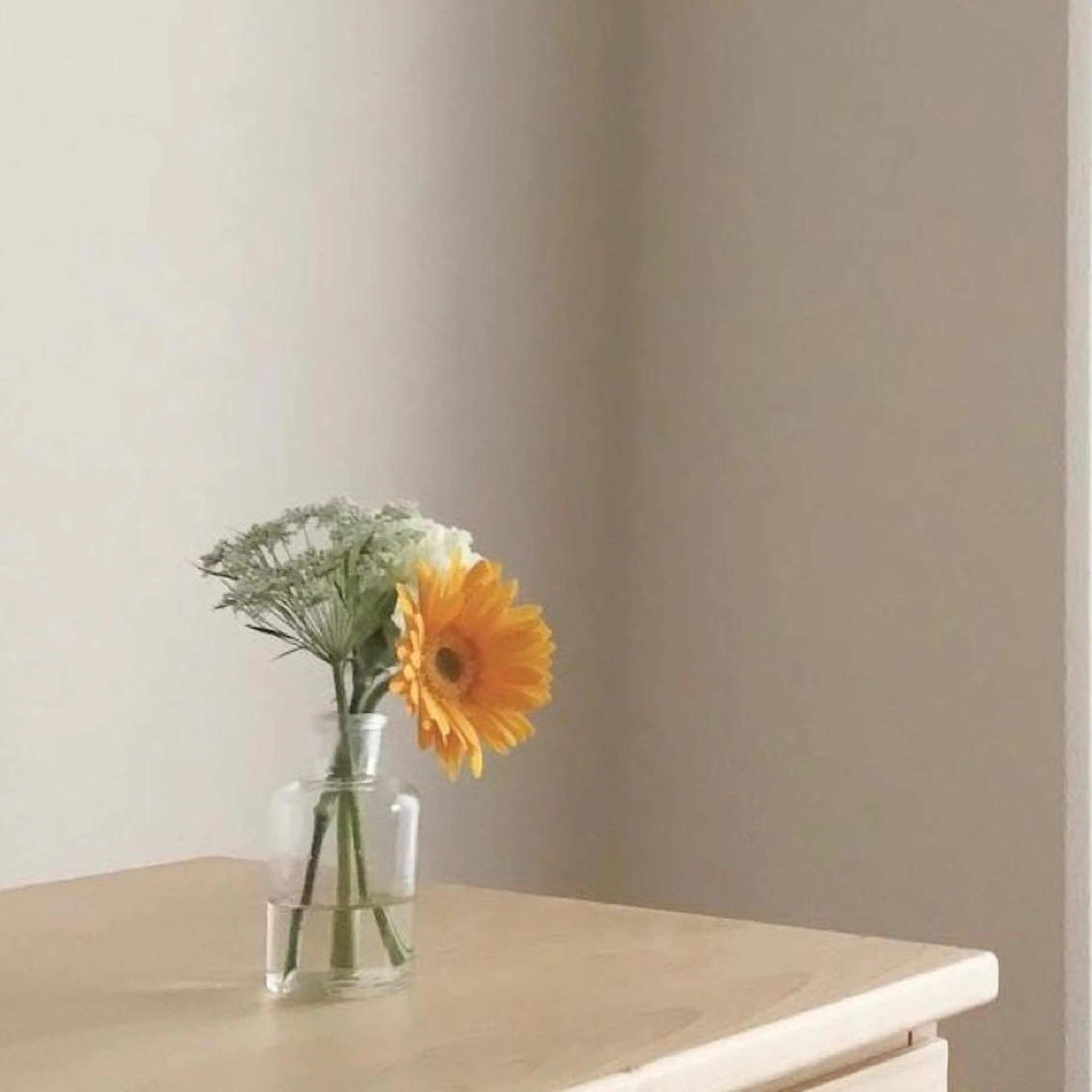 ネイル émure. / パラジェル認定のネイルデザイン