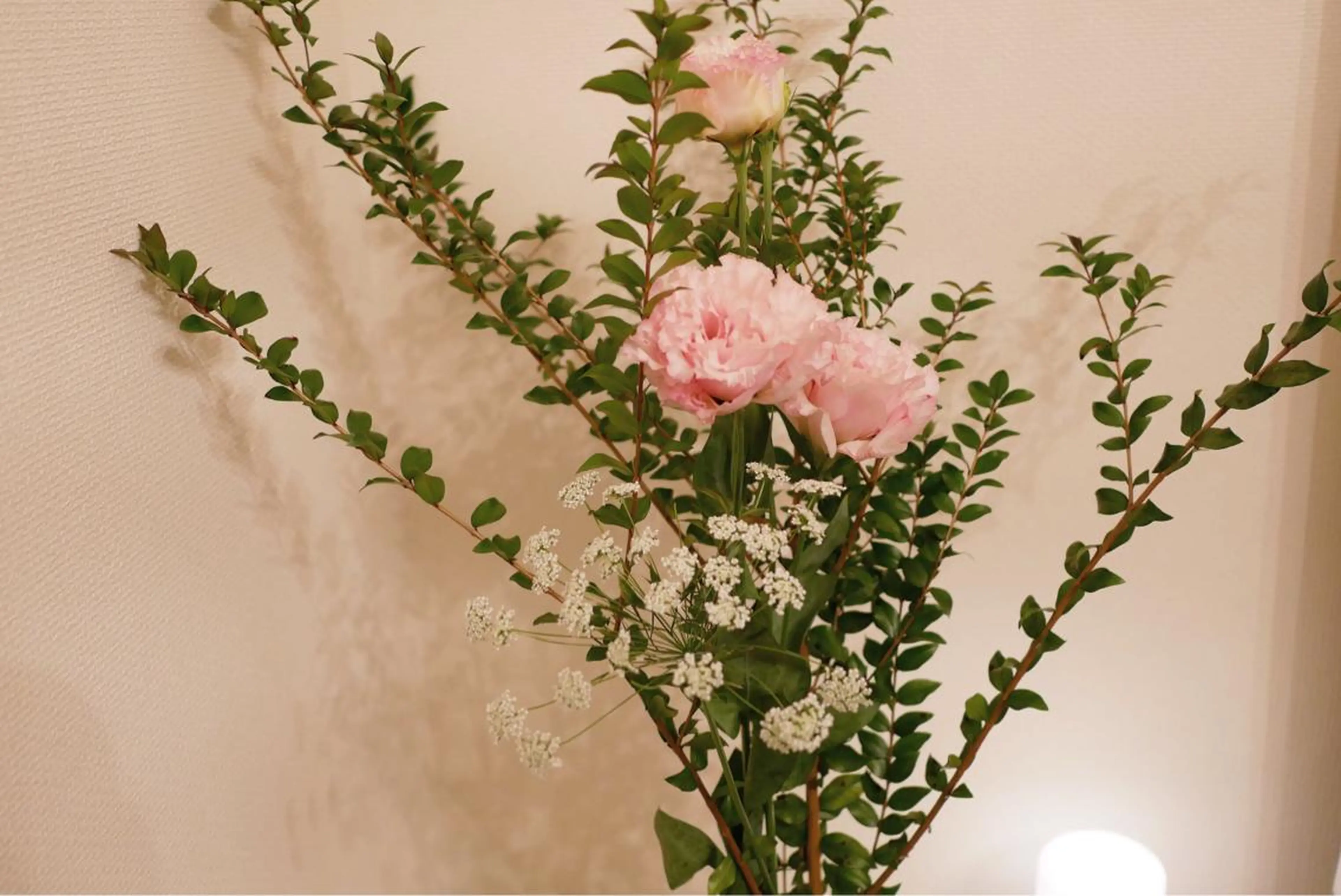 ミディアム キッズ ネイル マツエク・マツパ エステ リラク ニキビ跡専門サロン Ａｉｎａのエステ・リラクイメージ