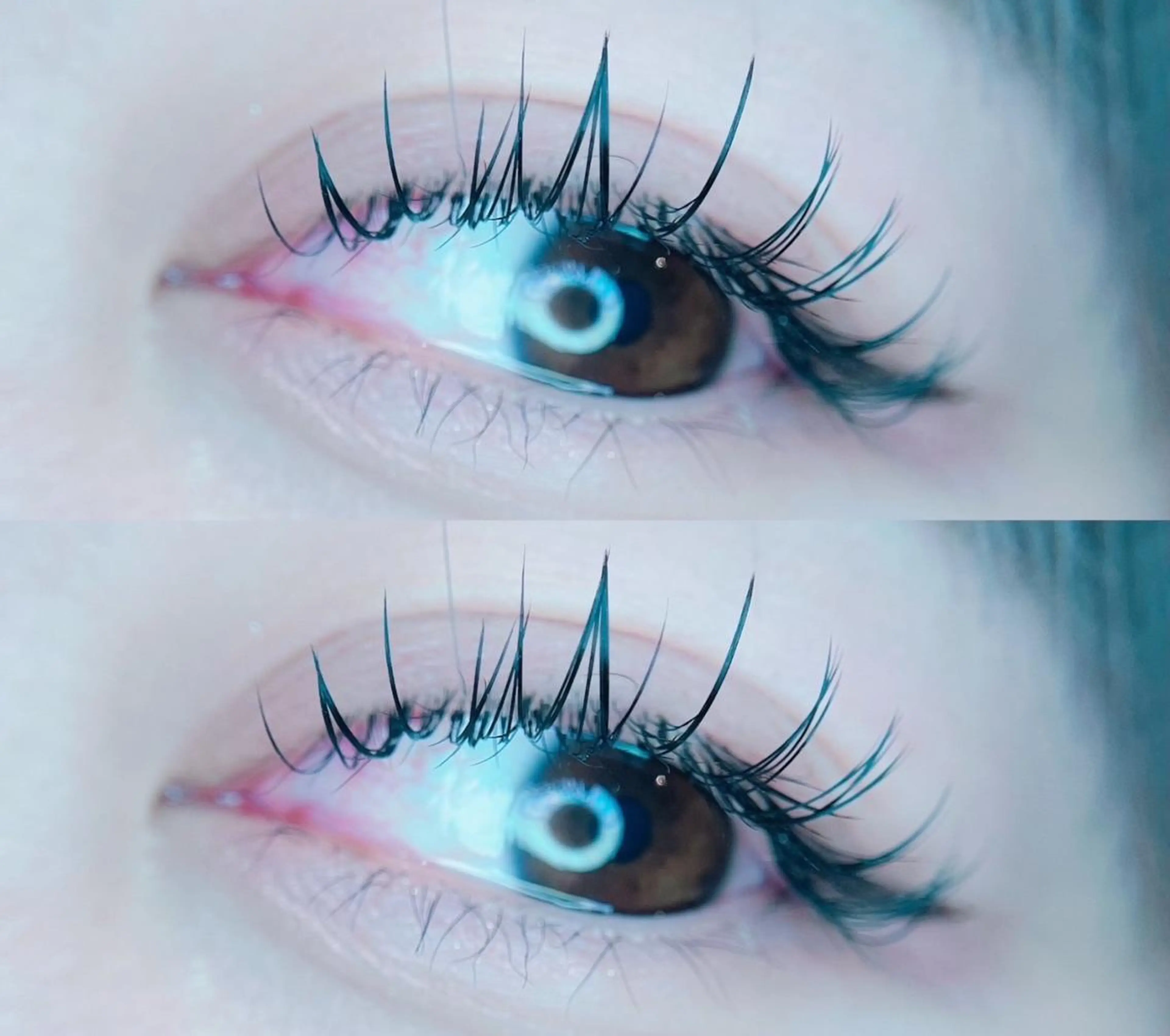 マツエク・マツパ Lupinus 国分寺店のマツエク・マツパデザイン