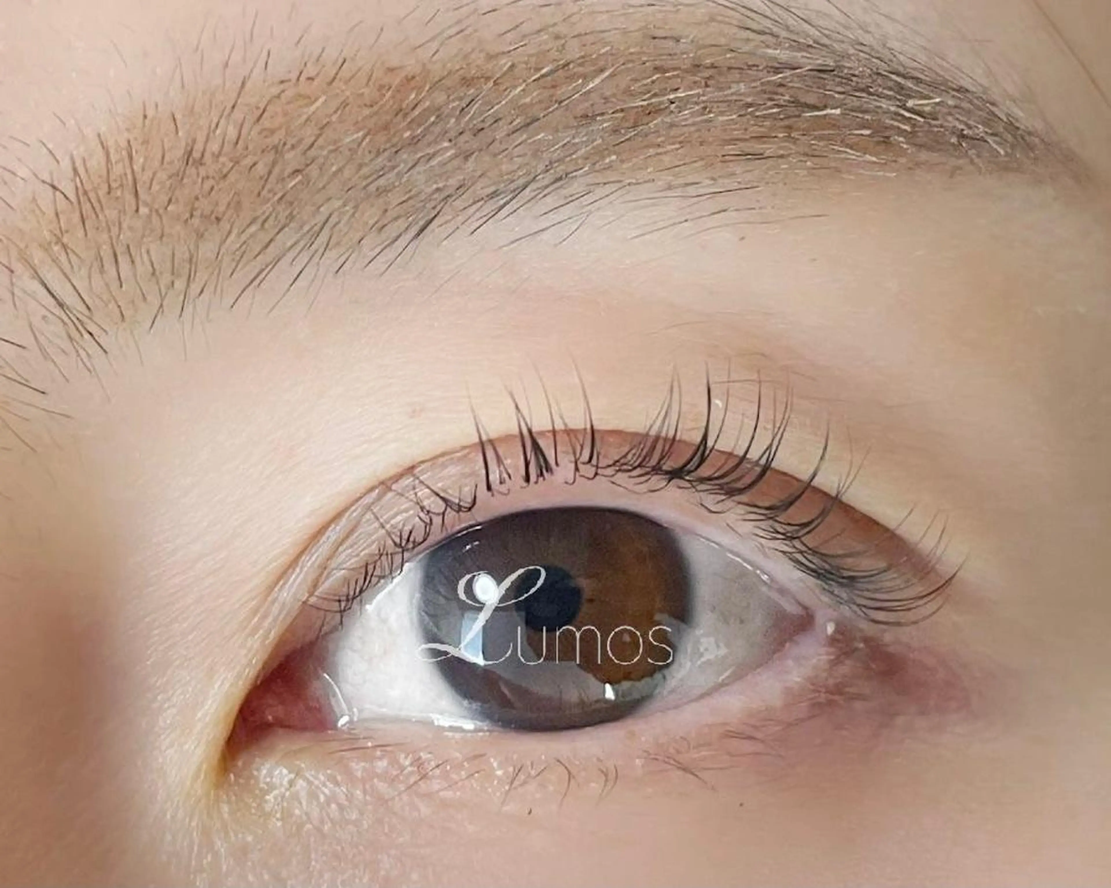 マツエク・マツパ マツパ Lumos nail&eyelash所属・Lumos Ayakaのマツエク・マツパデザイン