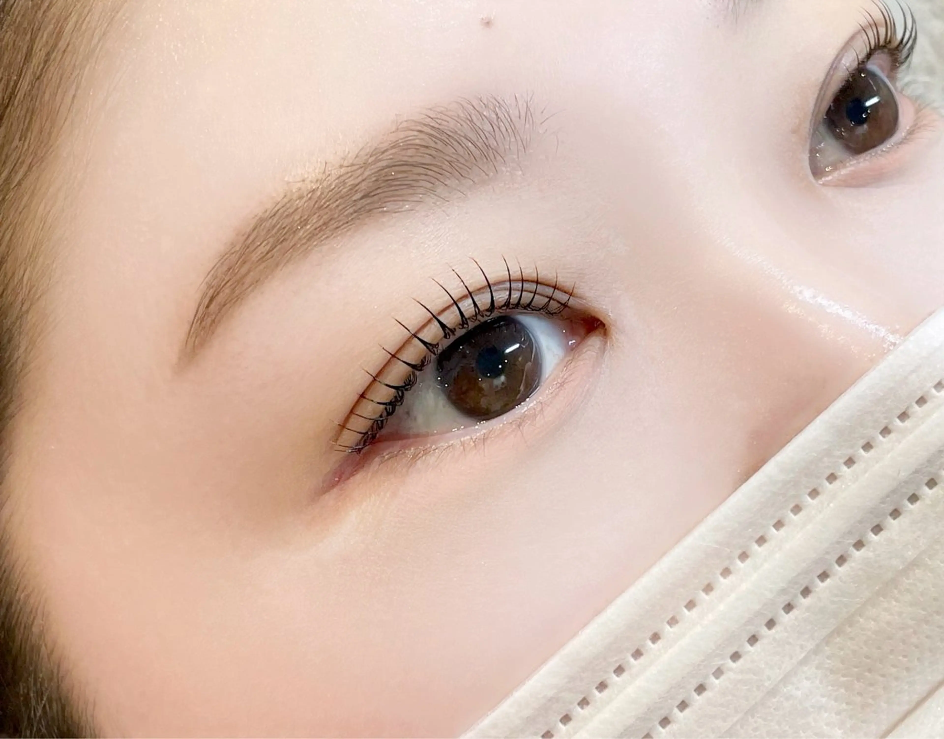 【lashlift】➕【眉山waxスタイリング】セットメニュー💭の写真