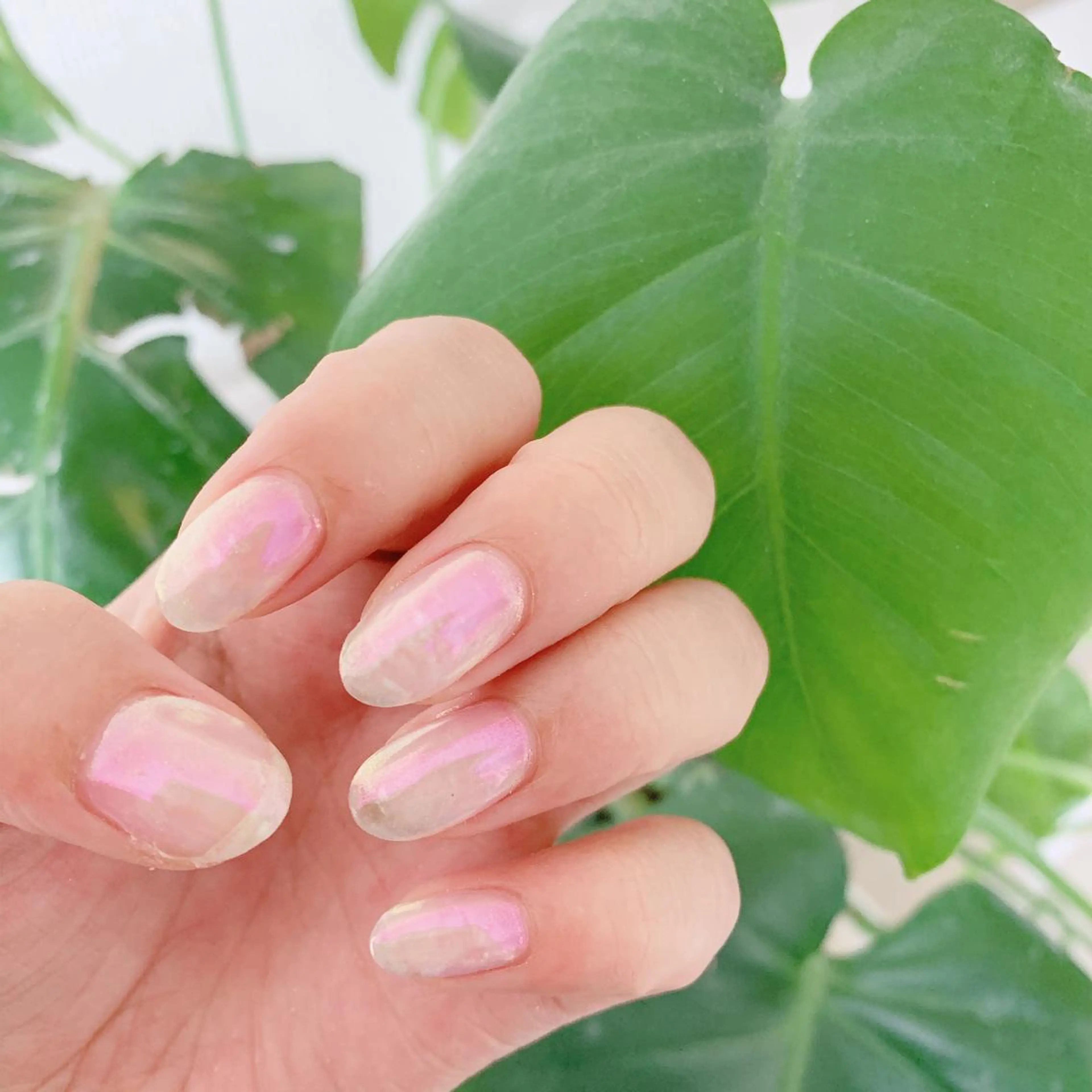 ネイル 【カメレオン】 上村 祥子のヘアスタイル