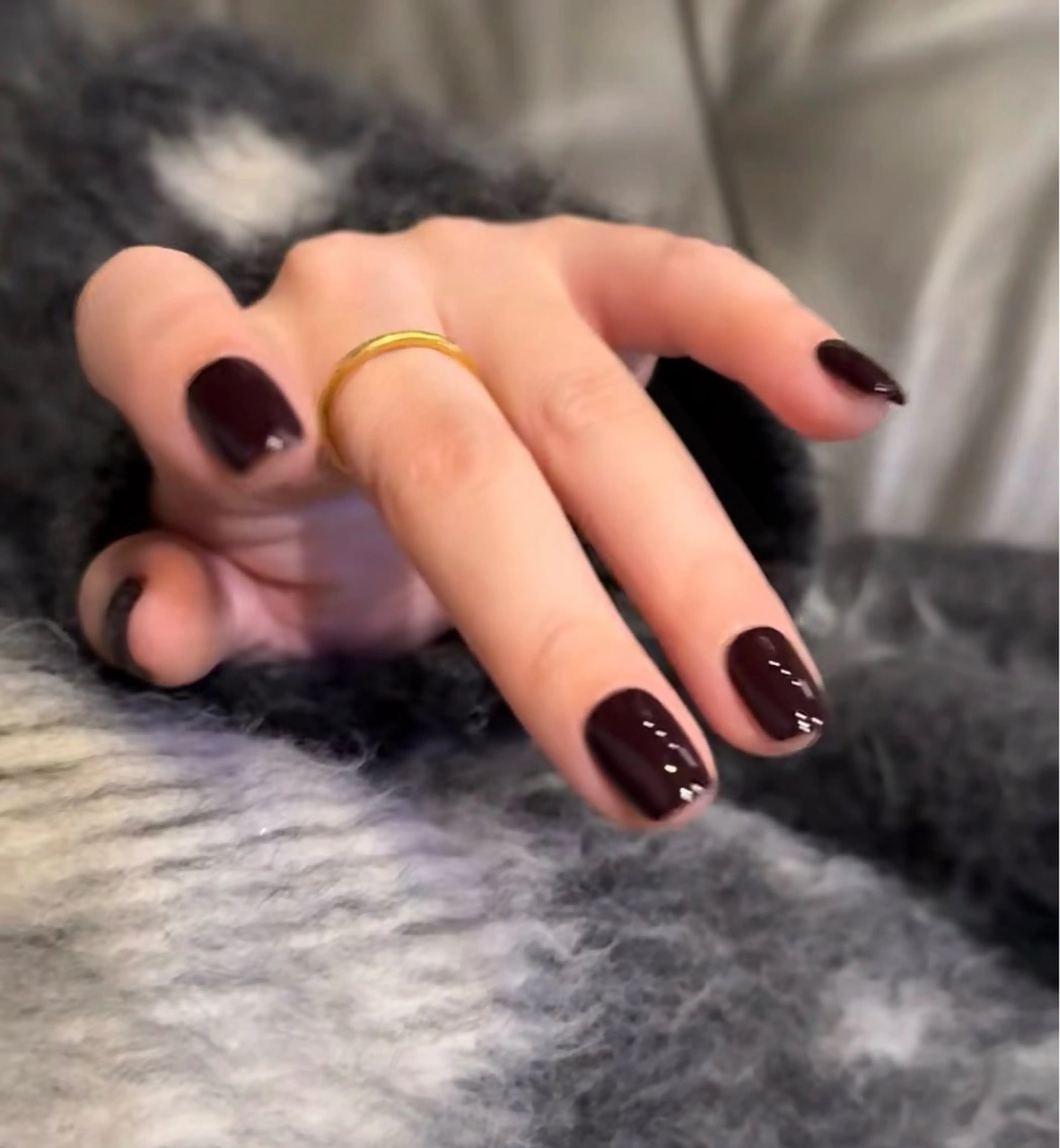 オフ無料🆓ワンカラーの写真