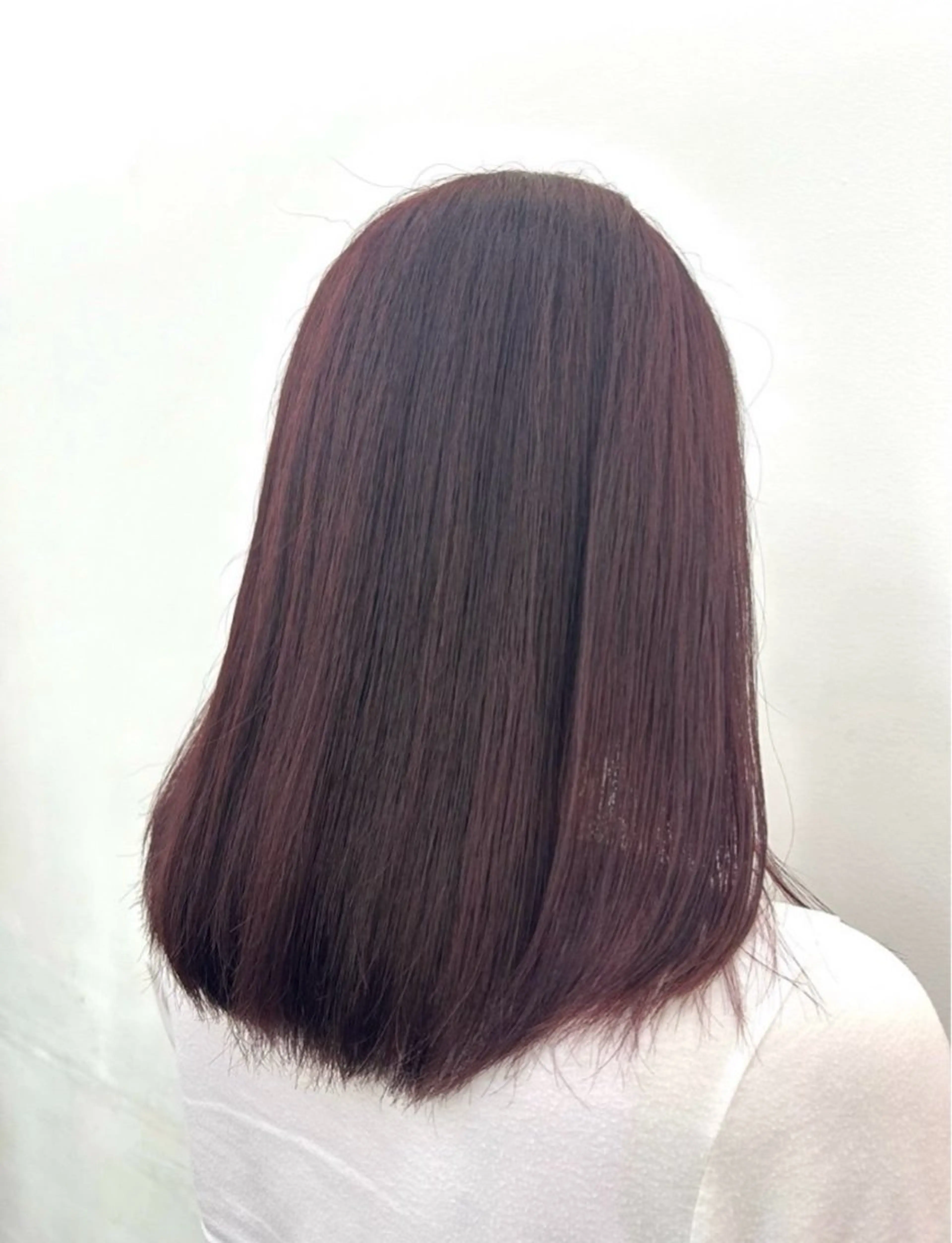 ワンカラーの写真