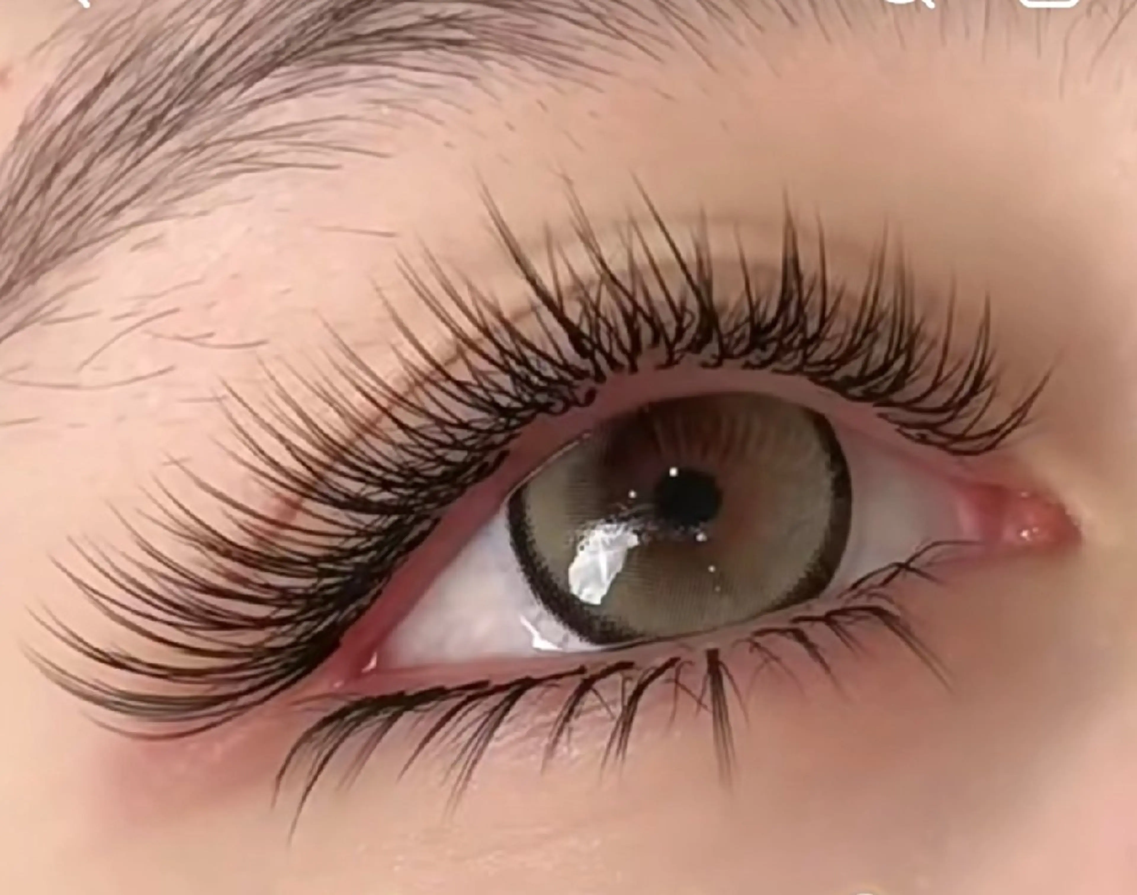 セクシーなキツネマツゲ120本の写真