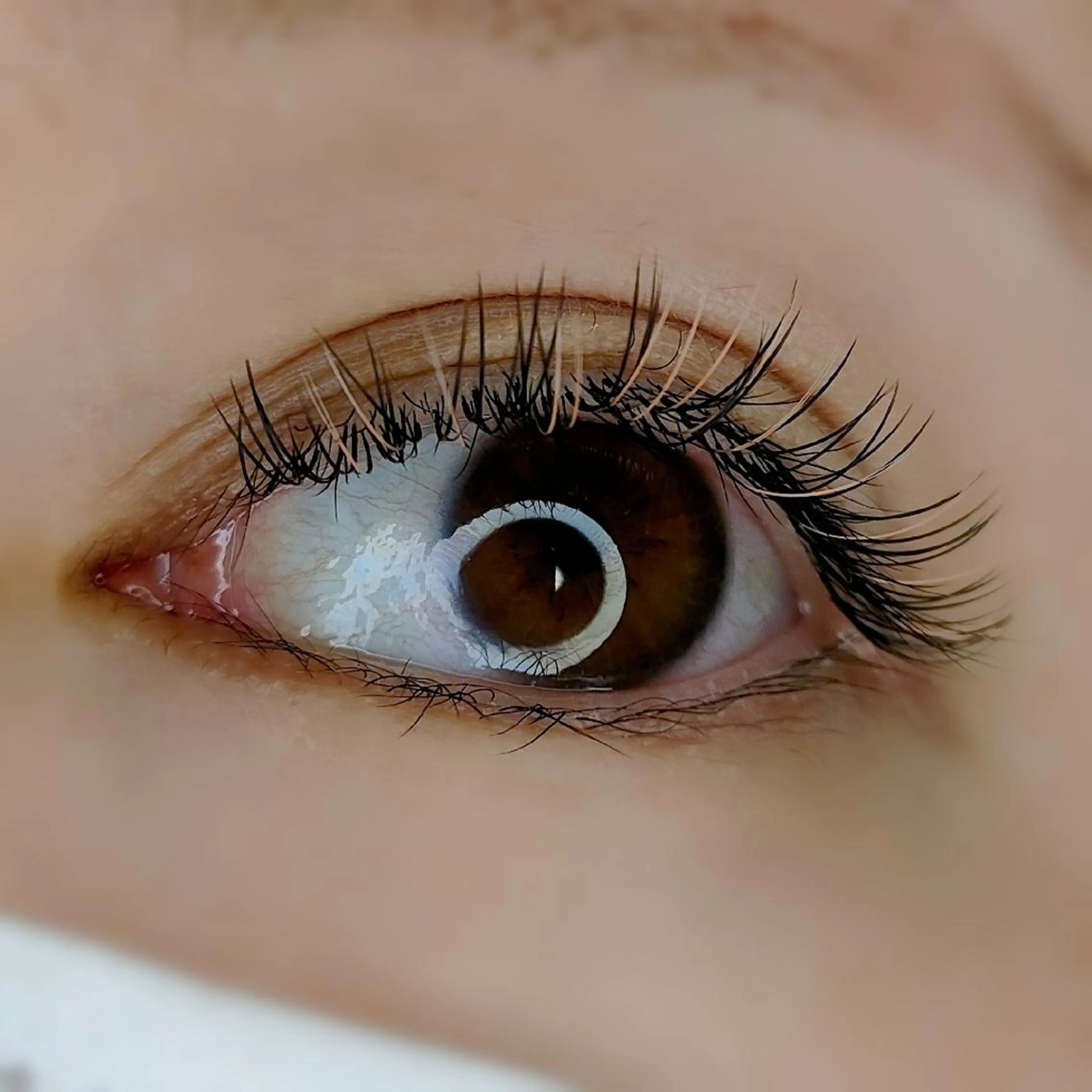 マツエク・マツパ カラーマツエク 平山 ゆりのマツエク・マツパデザイン