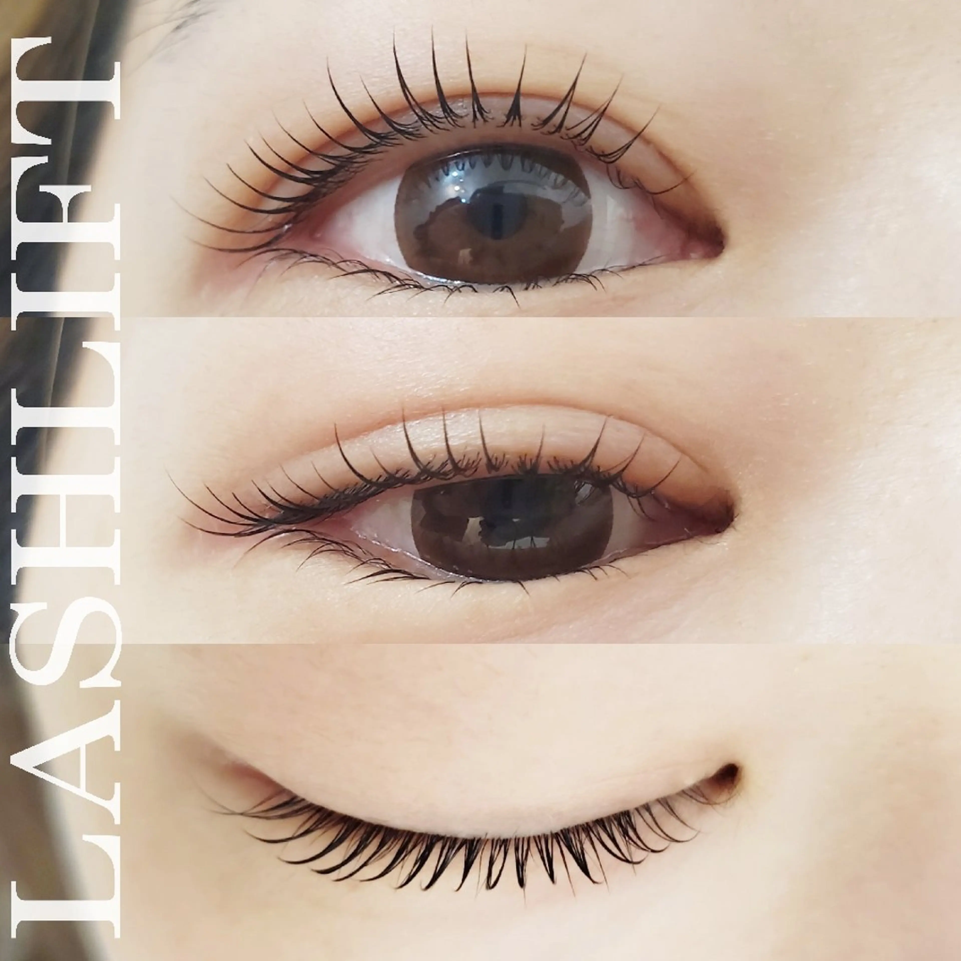 上下ラッシュリフトの写真