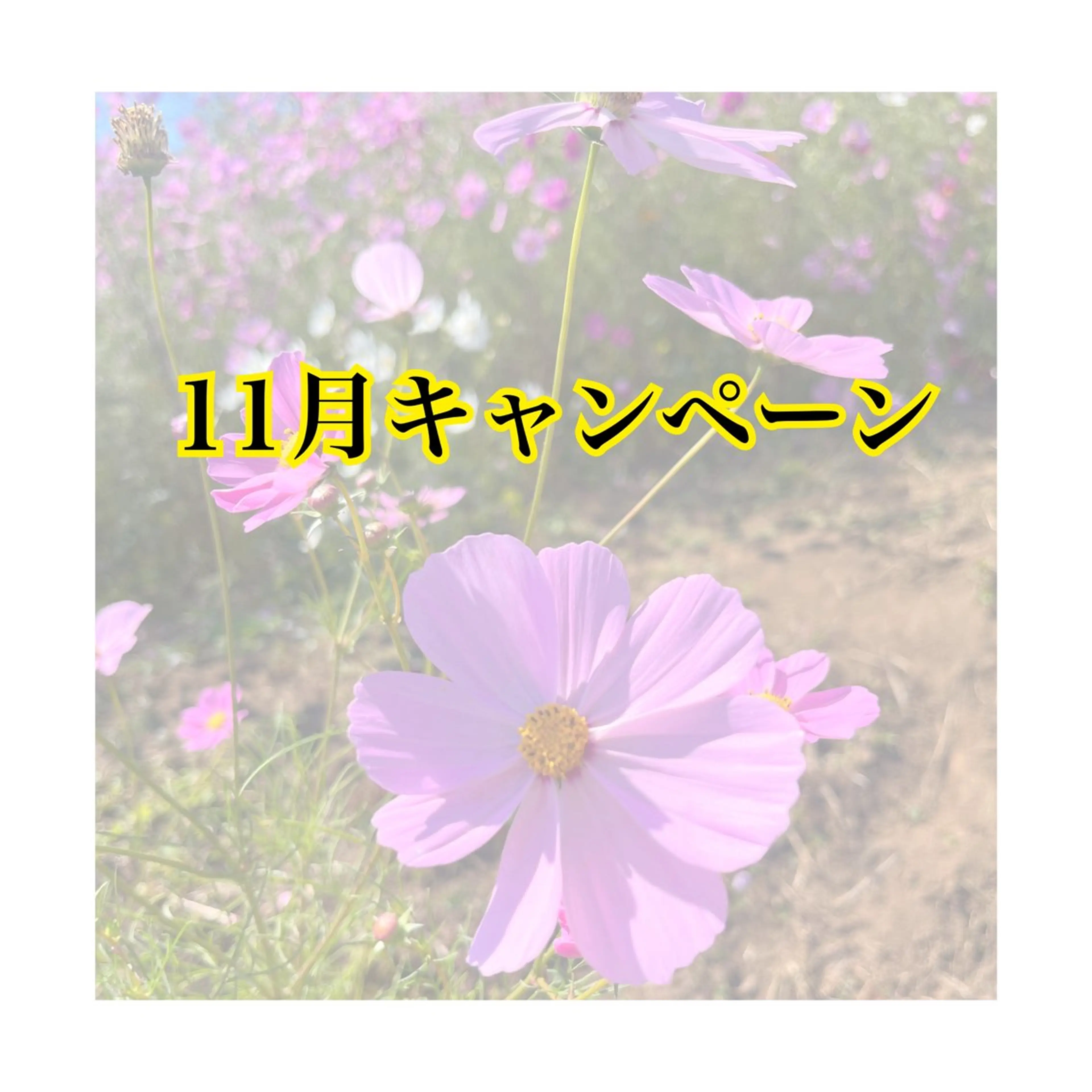 アロマ･美容鍼･カッ ピング「麗」鍼灸院のエステ・リラクイメージ