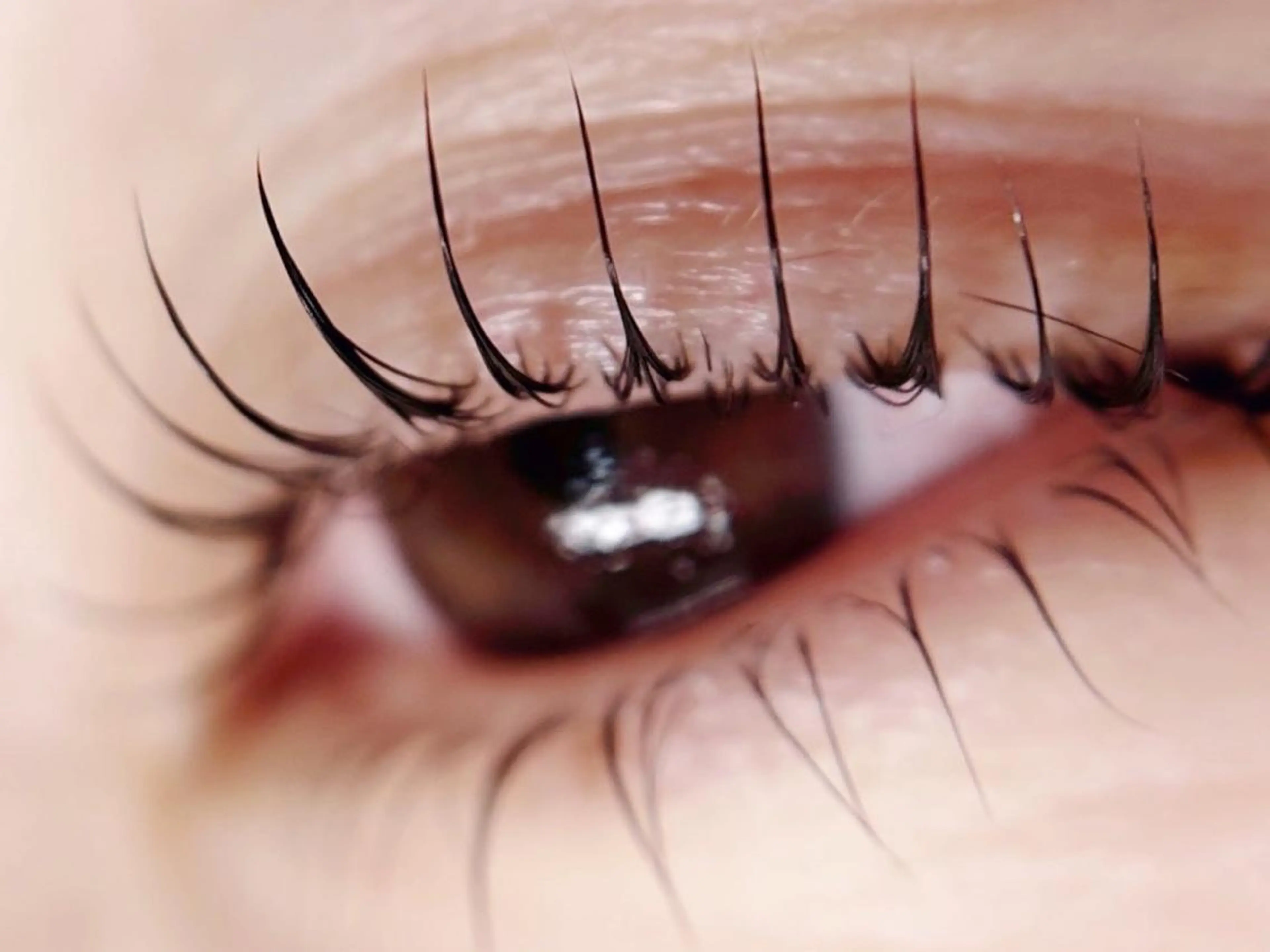 マツエク・マツパ フラットラッシュ パリジェンヌラッシュリフト まつげパーマ 下まつげエクステ 一重×まつ毛パーマ Liyone橋本所属・Liyone 橋本のマツエク・マツパデザイン