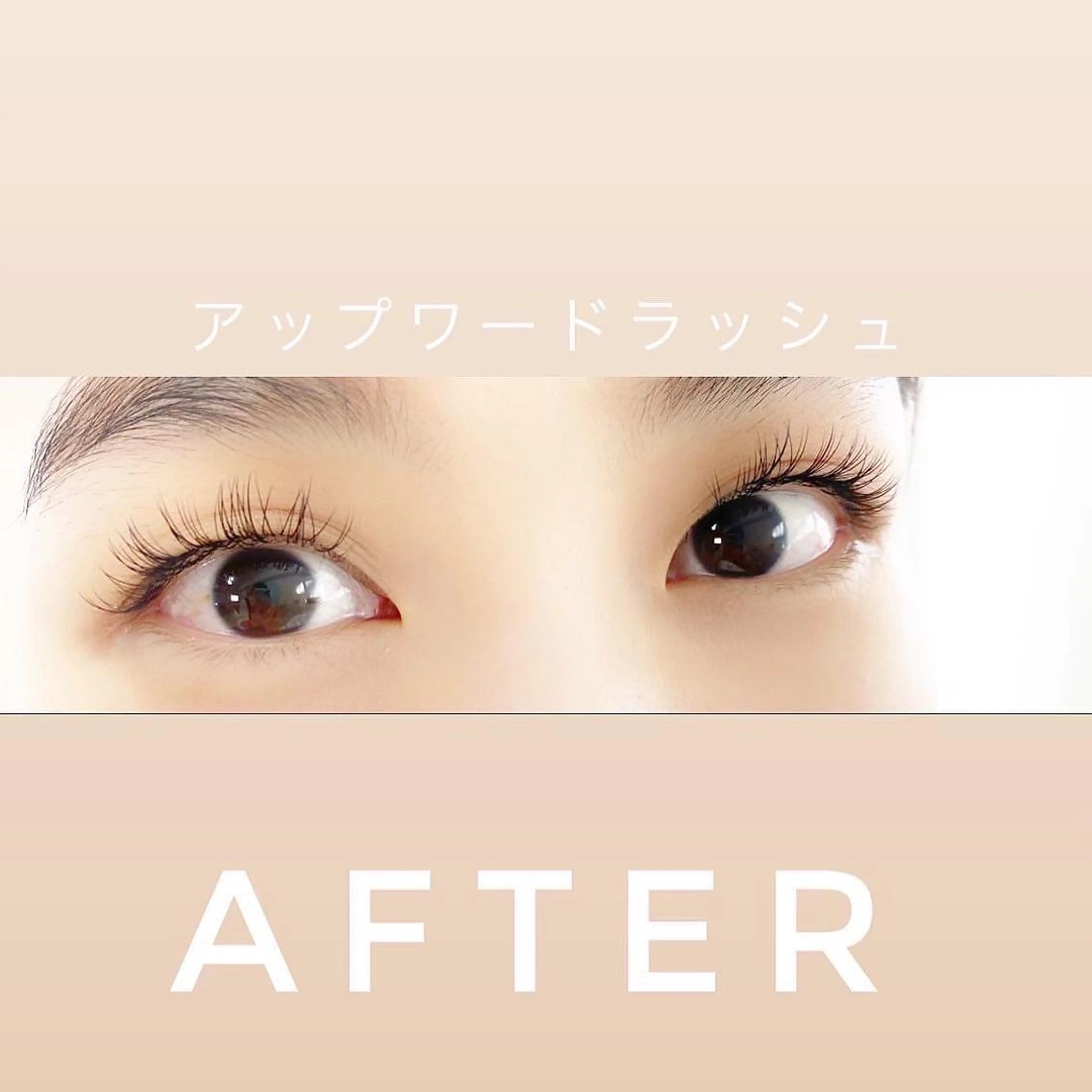 マツエク・マツパ アップワードラッシュ マツエク MAHALO 𓆉の眉毛・アイブロウイメージ