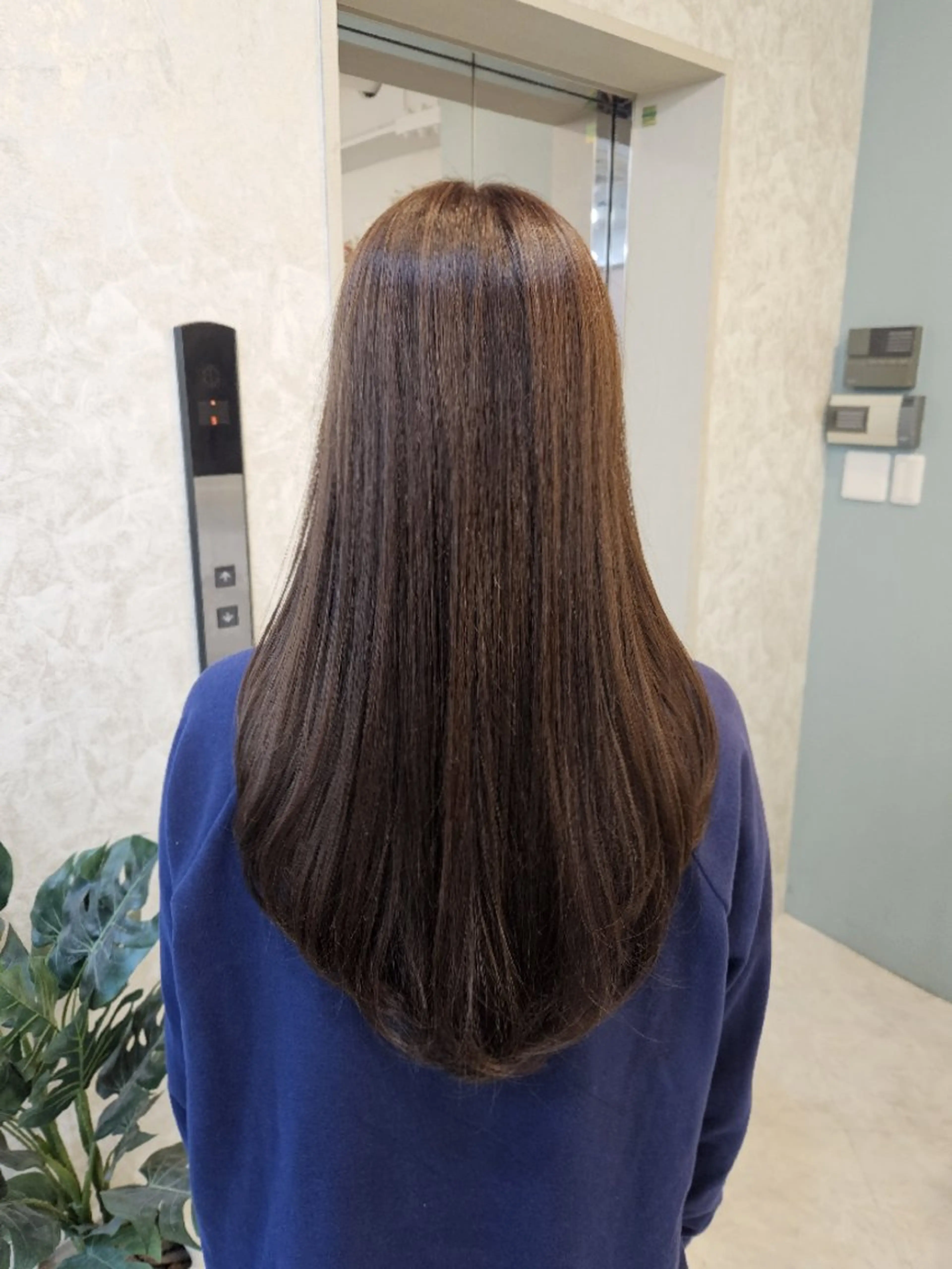 ロング カラー ブリーチ ブラウンカラー チョコレートブラウン ブリーチなしカラー 韓国風ヘア カット ヘアカラー トリートメント ミク🇰🇷 /Agu hairのヘアスタイル