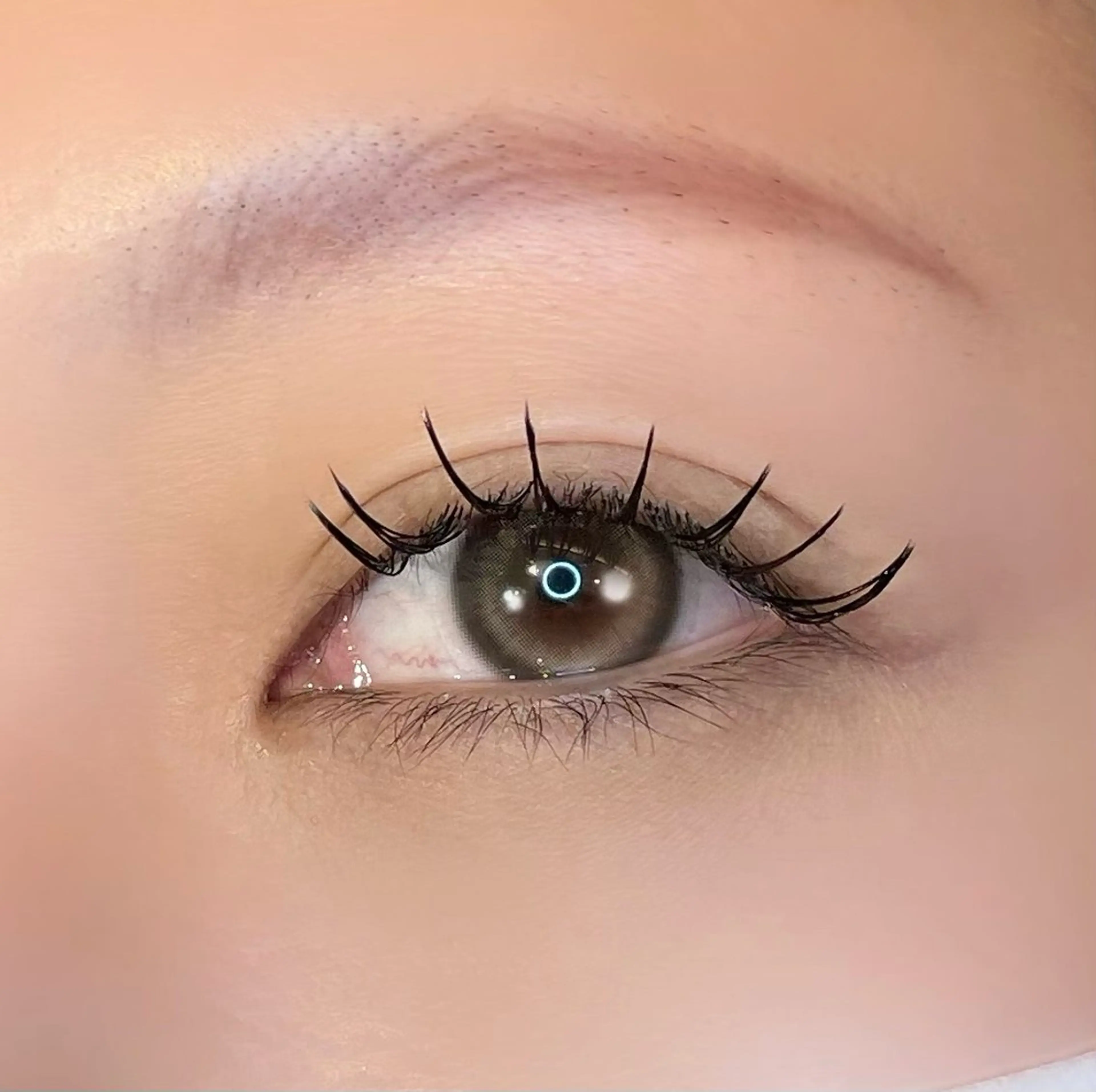 マツエク・マツパ マツエク まつパ/マツエク🤎 艶カラー/ゆり♡⃛のマツエク・マツパデザイン