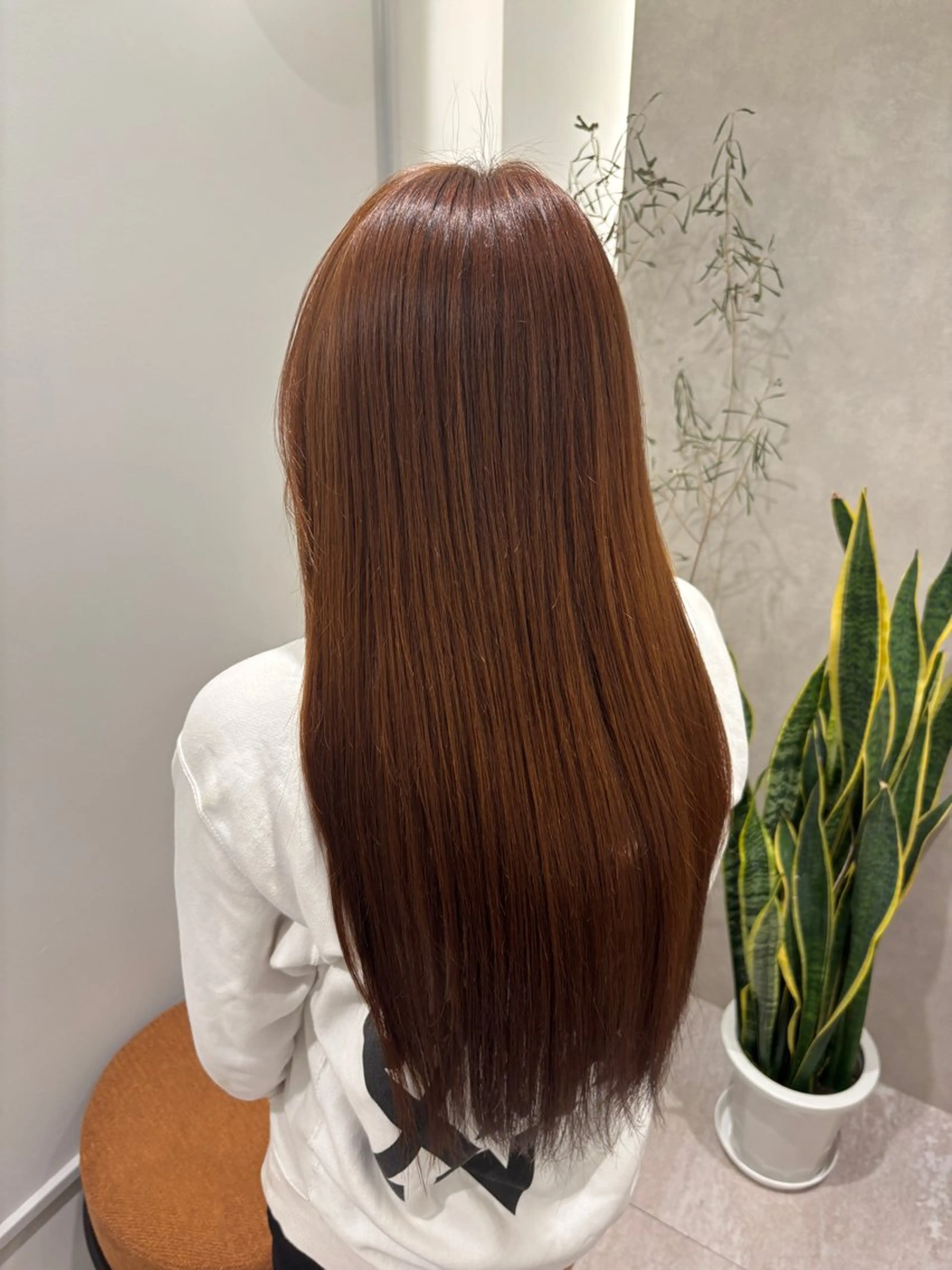 ロング カラー 縮毛矯正 カット ヘアカラー トリートメント Rui /池袋/モデル募集中のヘアスタイル