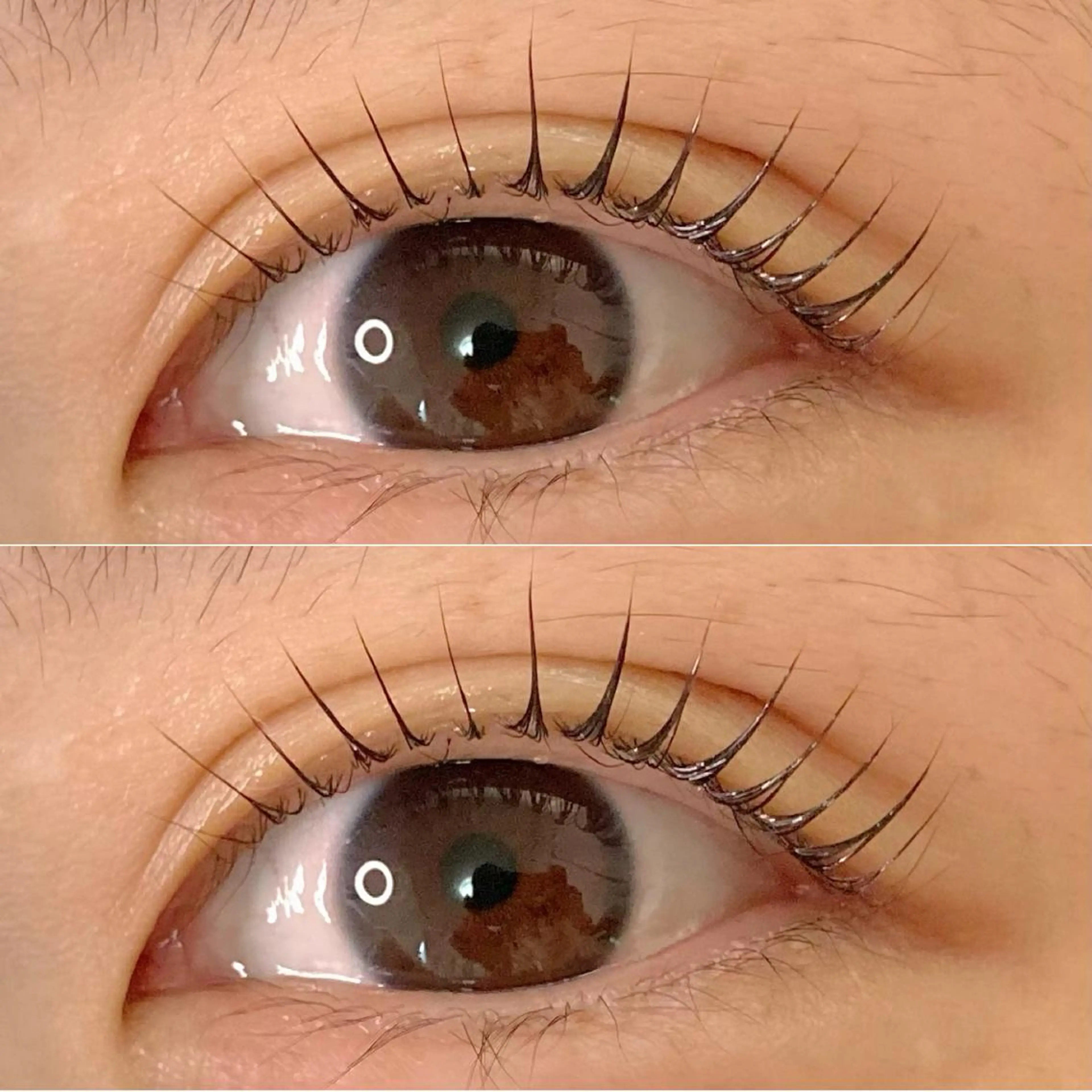 パリジェンヌラッシュリフト(アイシャンプー、トリートメント込み)の写真