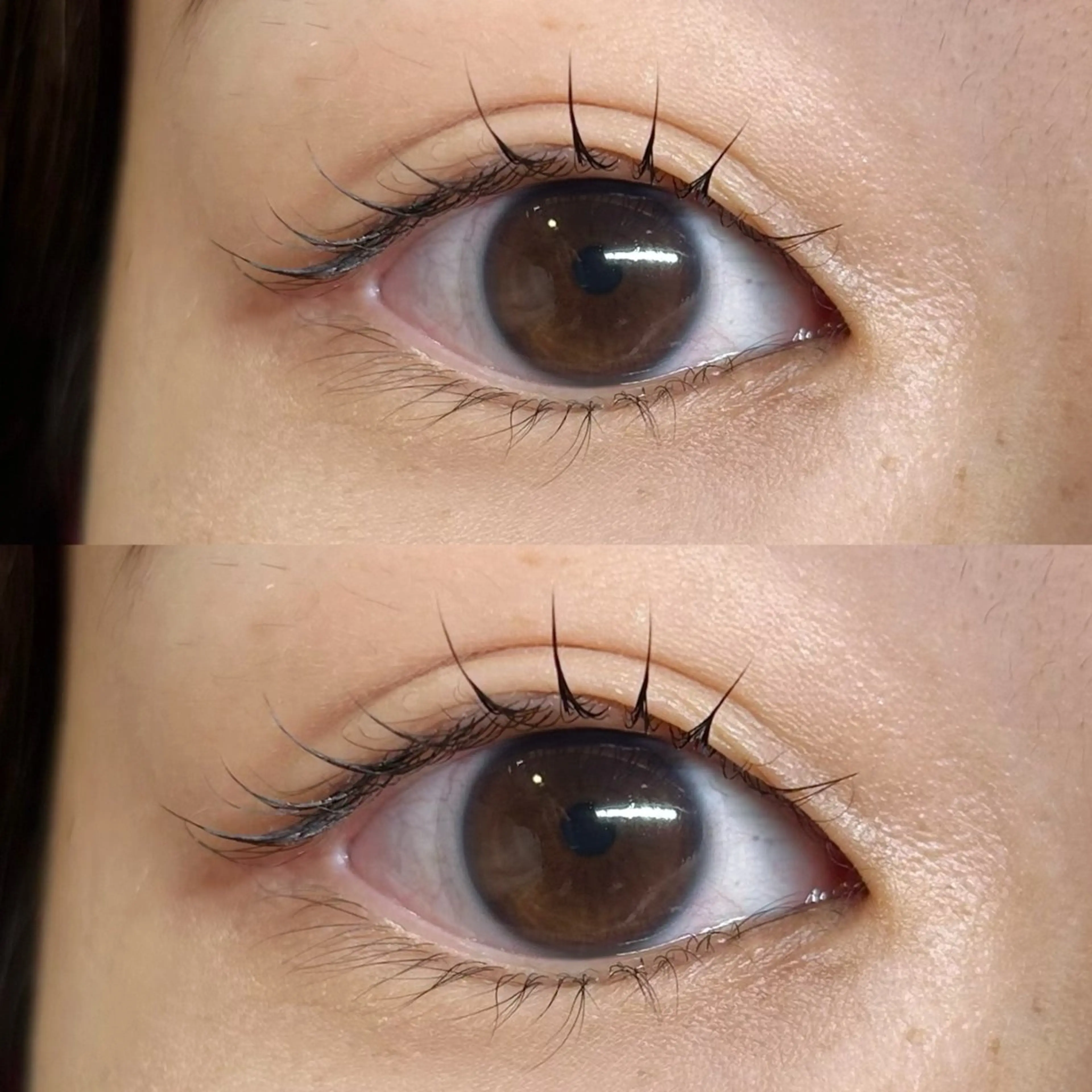 マツエク・マツパ マツパ Rise 🎀のマツエク・マツパデザイン