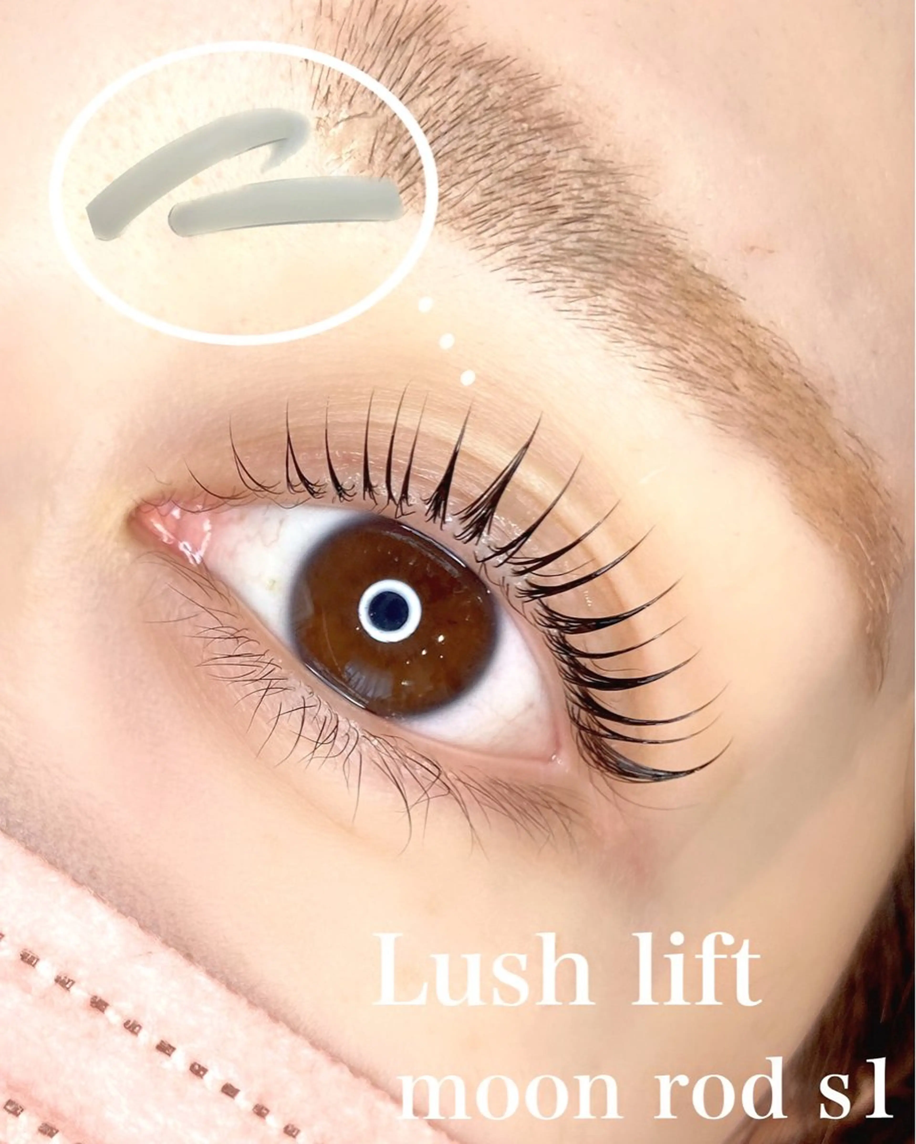 【ゲリラクーポン】当日まつ毛パーマ¥5000🌞🌱の写真