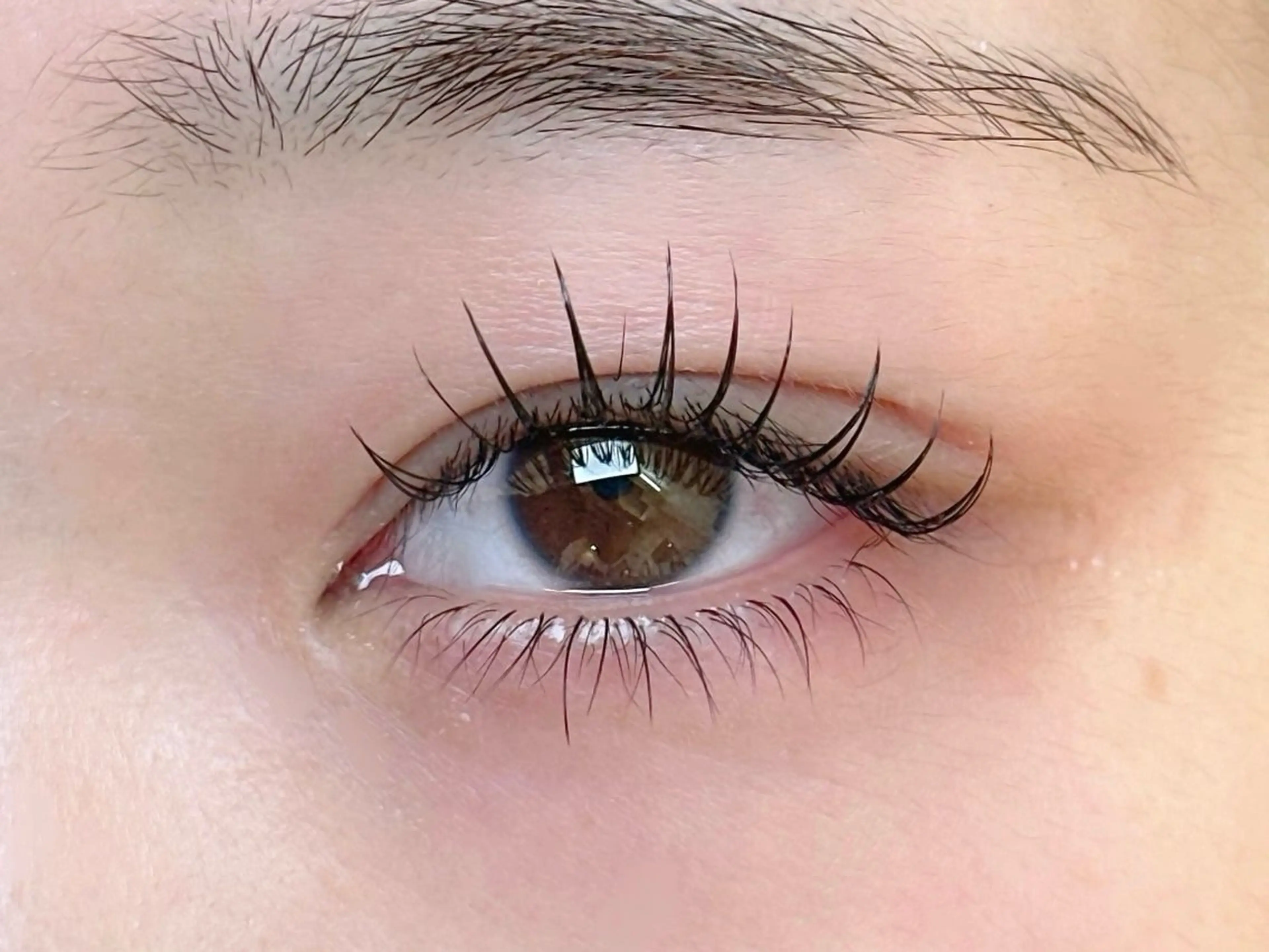 マツエク・マツパ 束感まつ毛 フラットラッシュ 韓国風マツエク マツエク Neo店長🌿 KOTONO🌿のマツエク・マツパデザイン