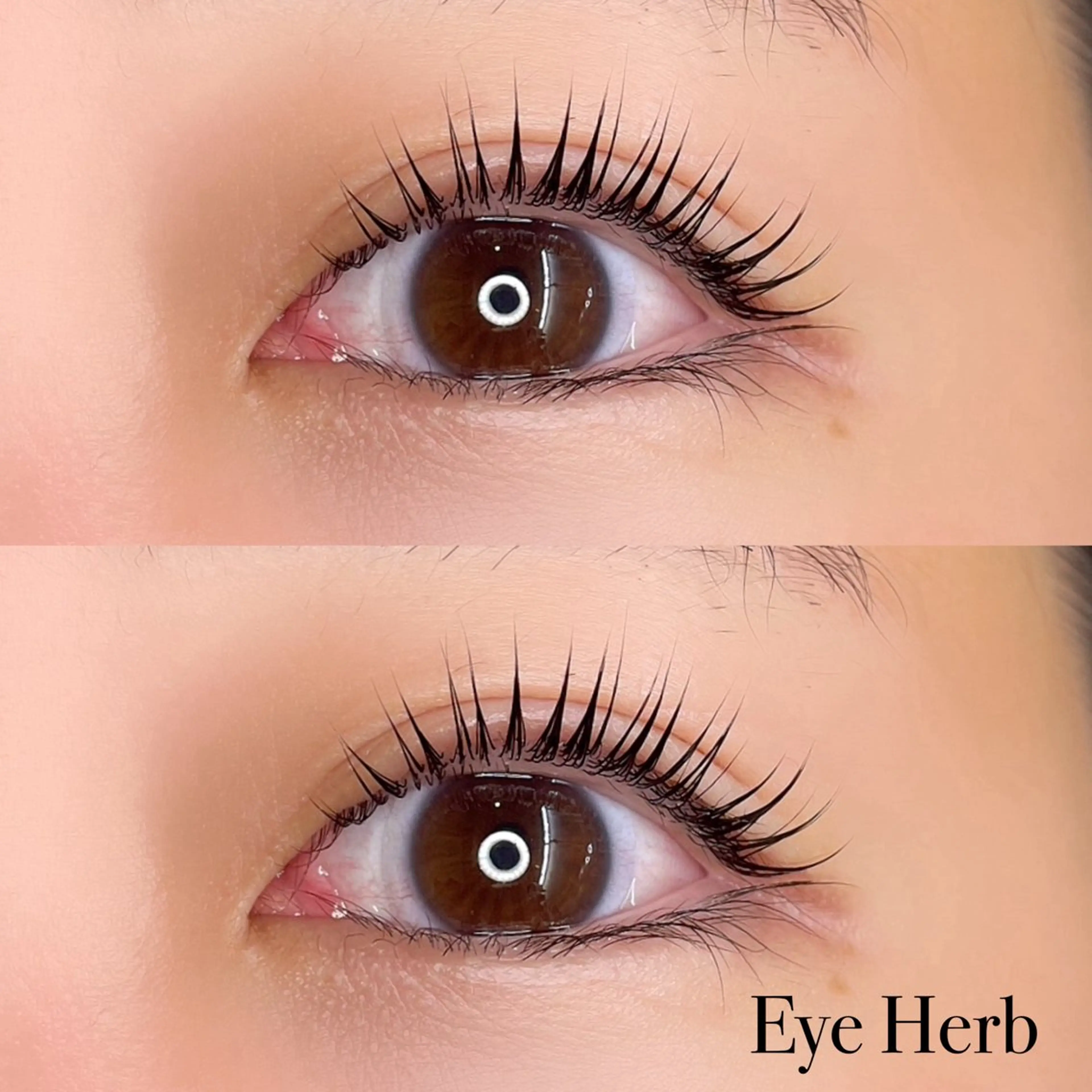 マツエク・マツパ パリジェンヌラッシュリフト Eye Herb beauty salon所属・♡ Mireiのマツエク・マツパデザイン