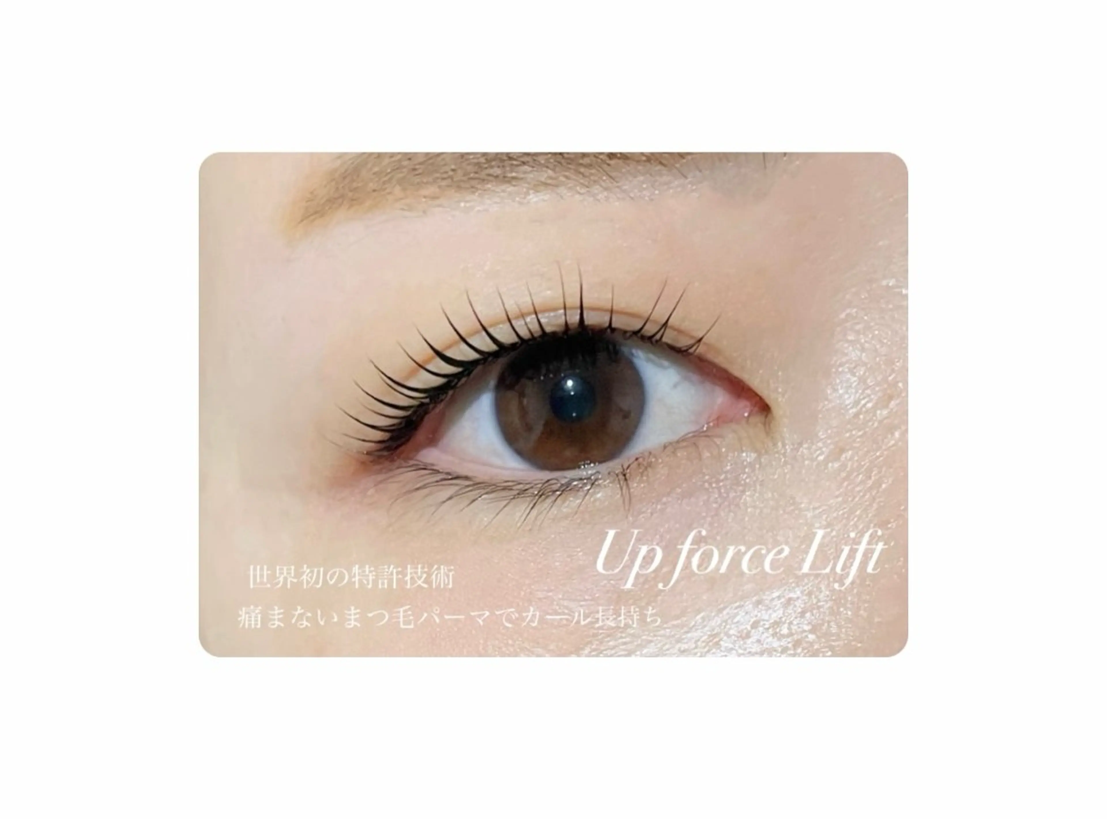 マツエク・マツパ Beauty　salon　Mil所属・🤍下村 絢香🤍のマツエク・マツパデザイン