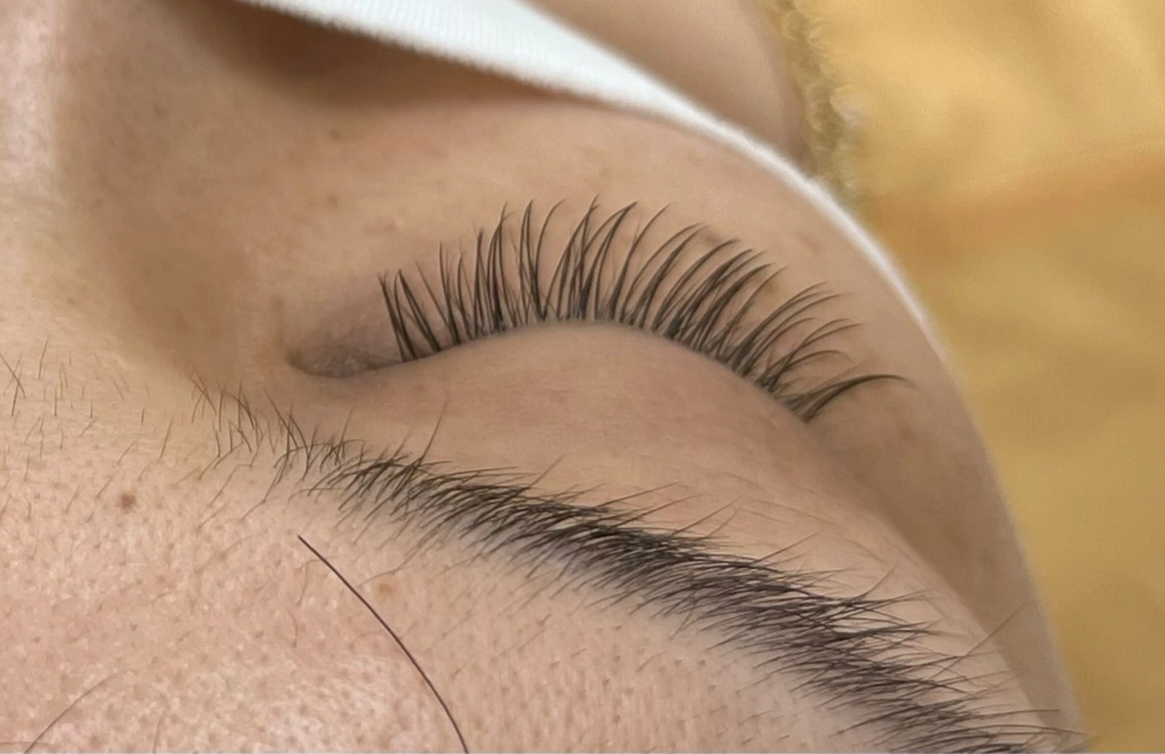 🍁✨フラットラッシュ オフあり 80本✨🍁11/10 15:30のみ⚠️掲載内容ご確認くださいの写真