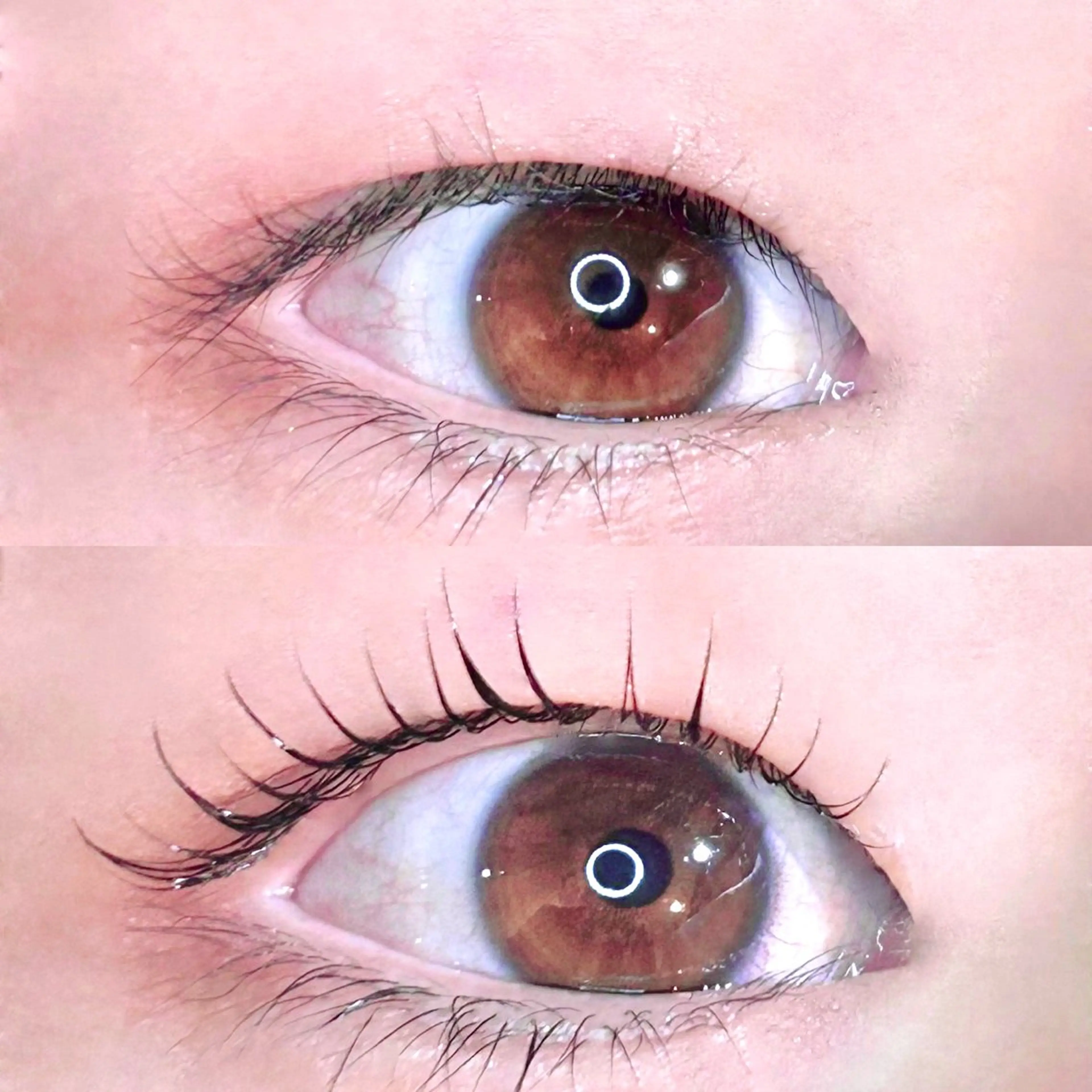 マツエク・マツパ Luxxe静岡店 石川のマツエク・マツパデザイン