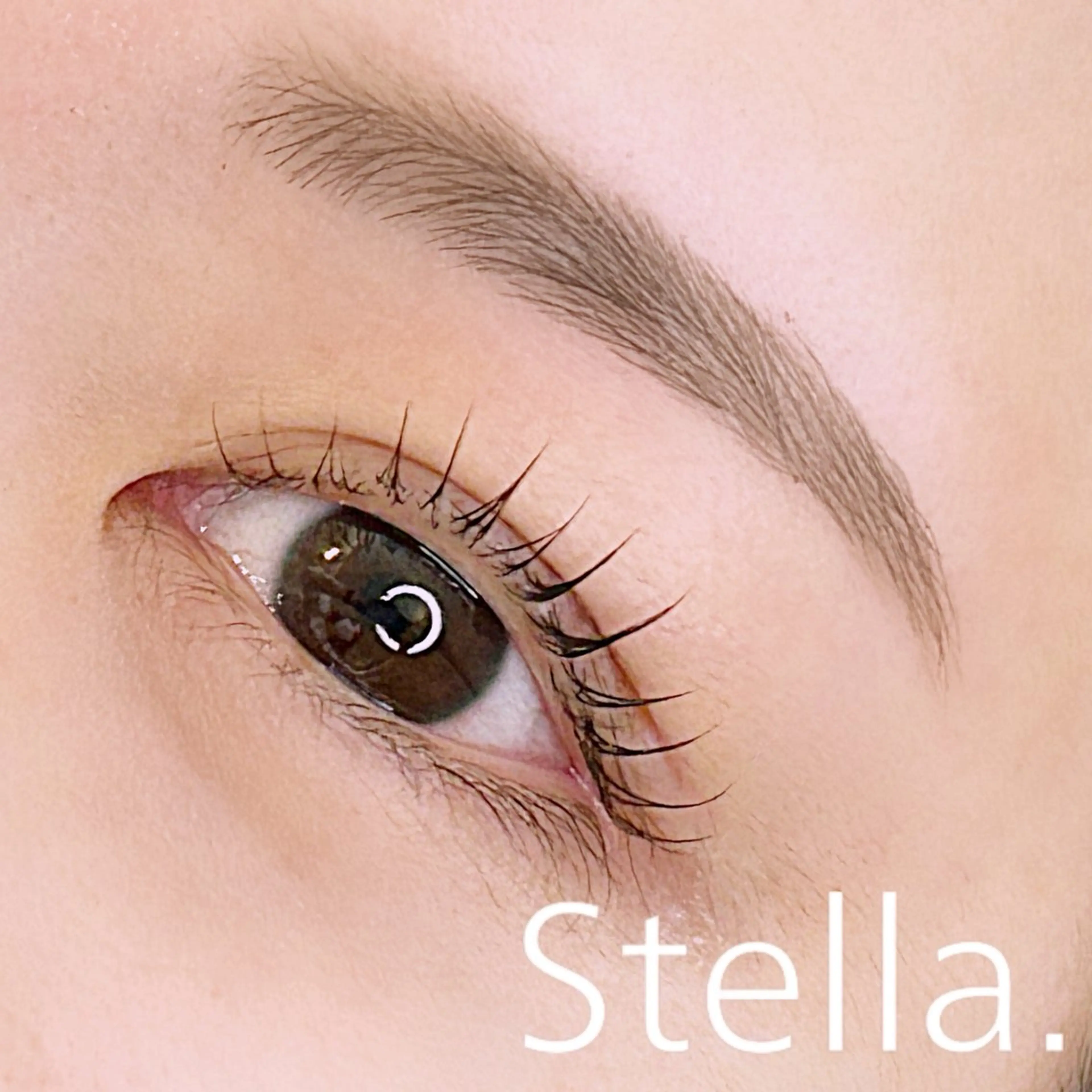 【set】美眉アイブロウWAX+パリジェンヌor似合わせまつげパーマ✨の写真