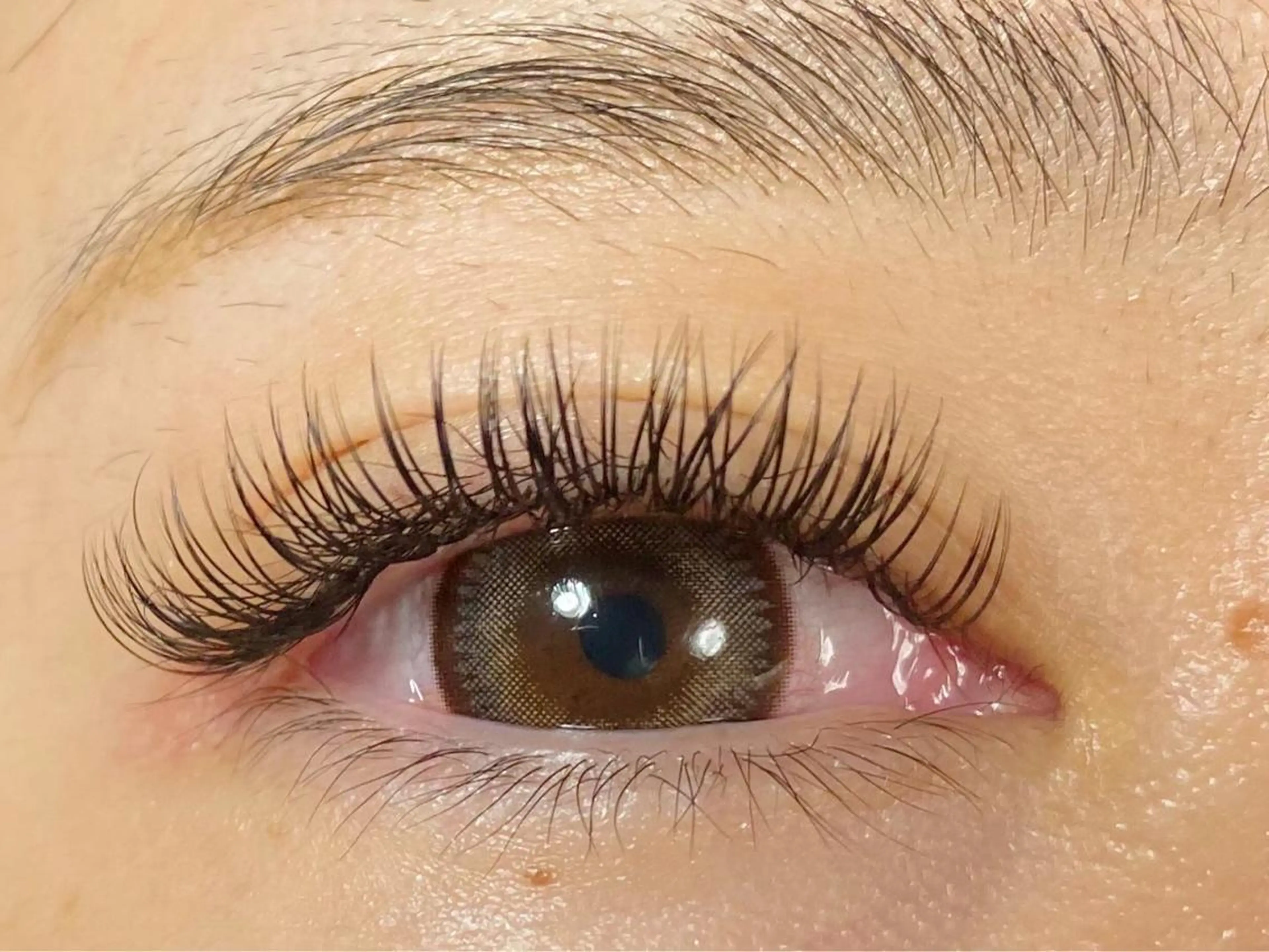 フラットラッシュ200本（オフ込み）7900円❤️モチの良さ抜群◎ 2Dラッシュに変更可能❤️ ブラウンに変更＋500円の写真