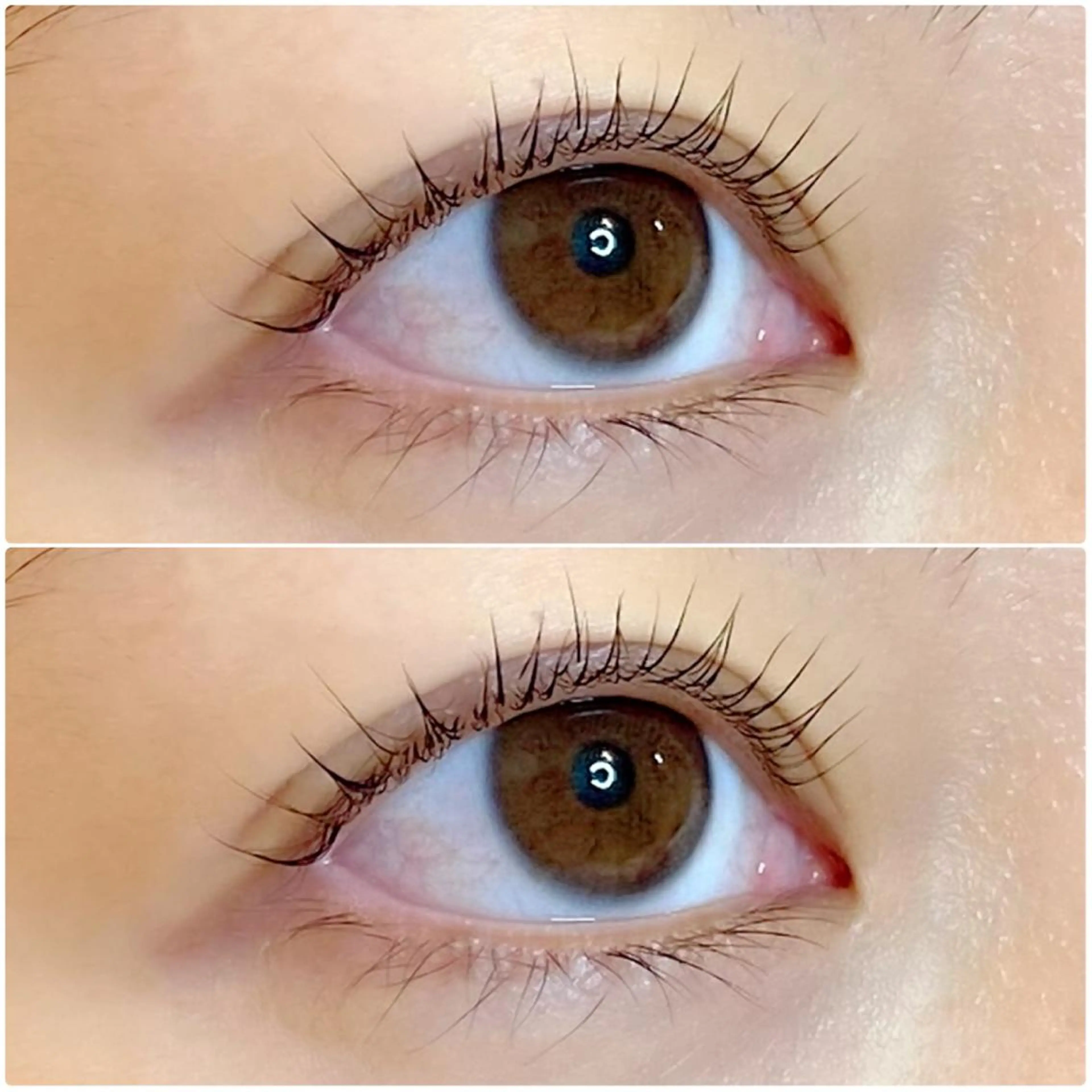 マツエク・マツパ まつげパーマ 🍒Anela 神田ゆか🍒の眉毛・アイブロウイメージ