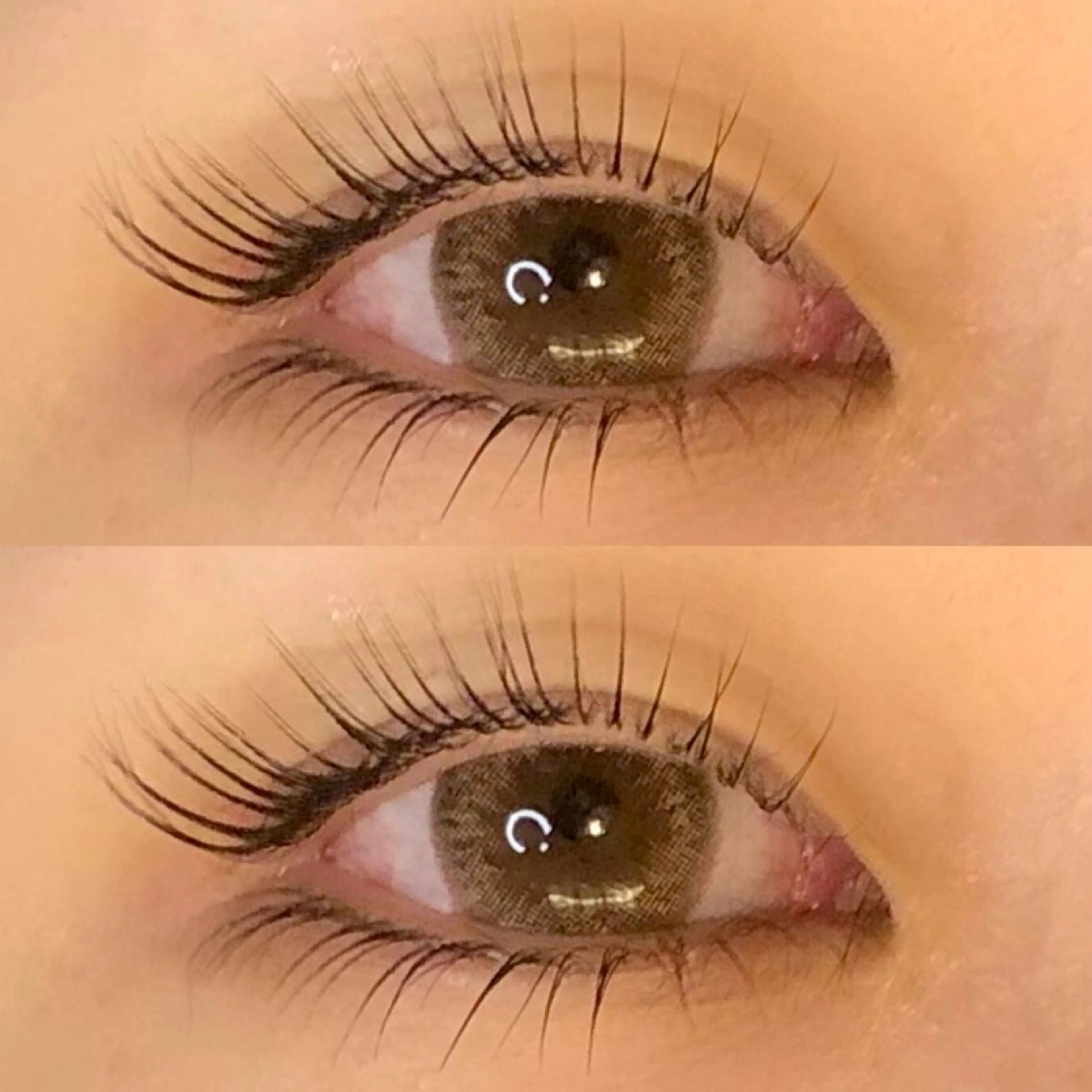 マツエク・マツパ 下まつげエクステ CAMELLIA カメリアのマツエク・マツパデザイン