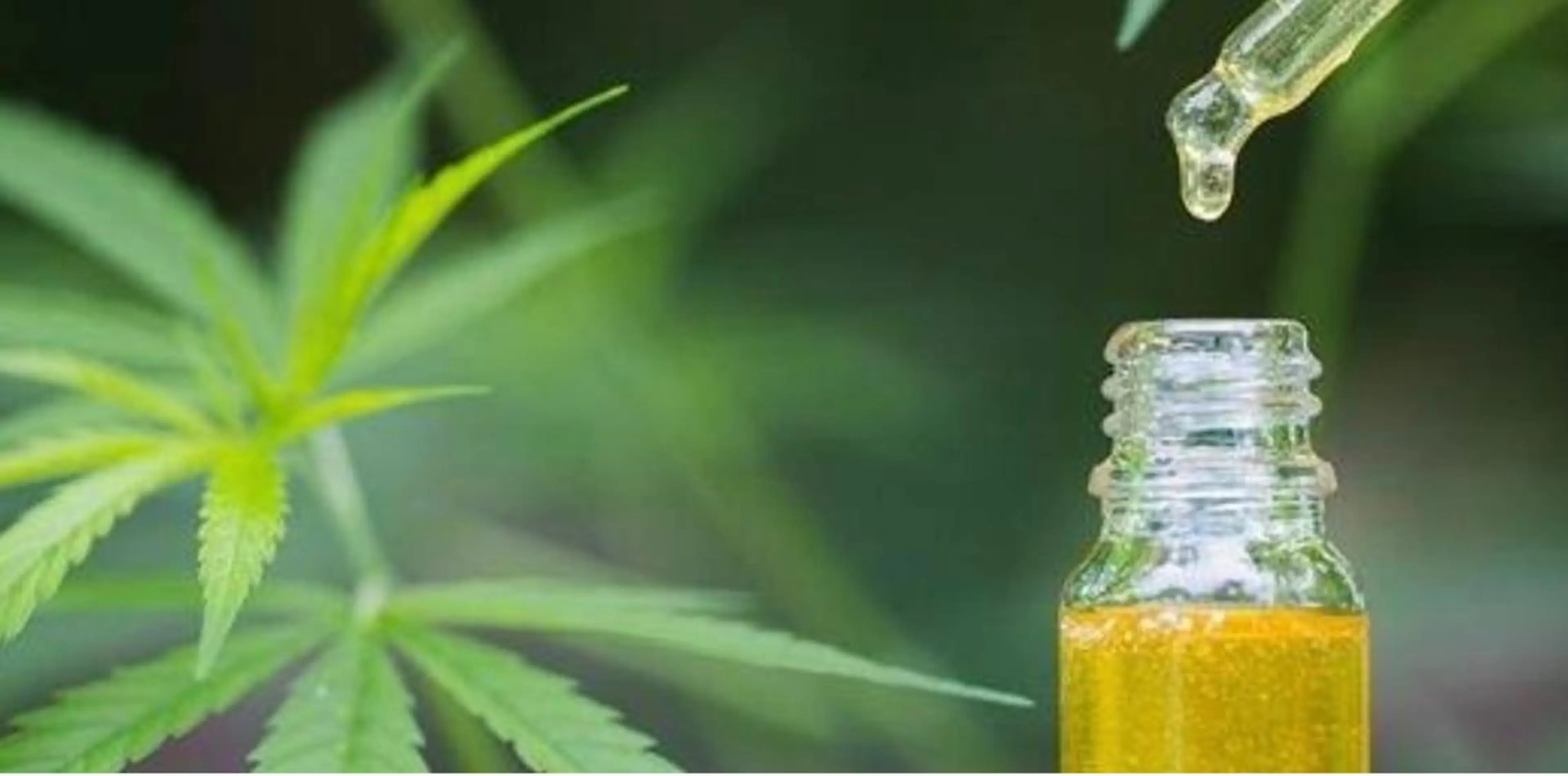 リラク 小島 瑞貴のエステ・リラクイメージ