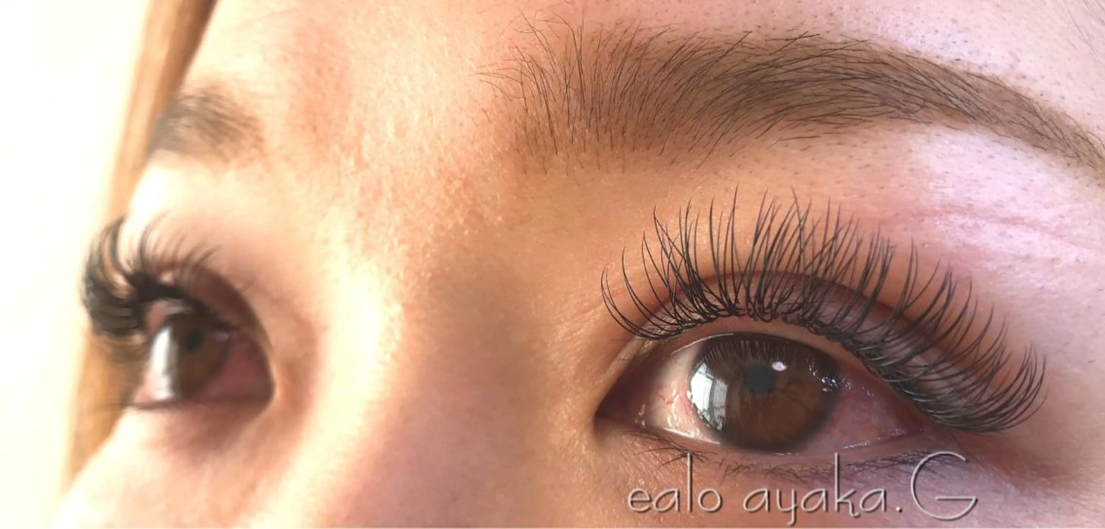 《新規》最高級セーブル180本の写真