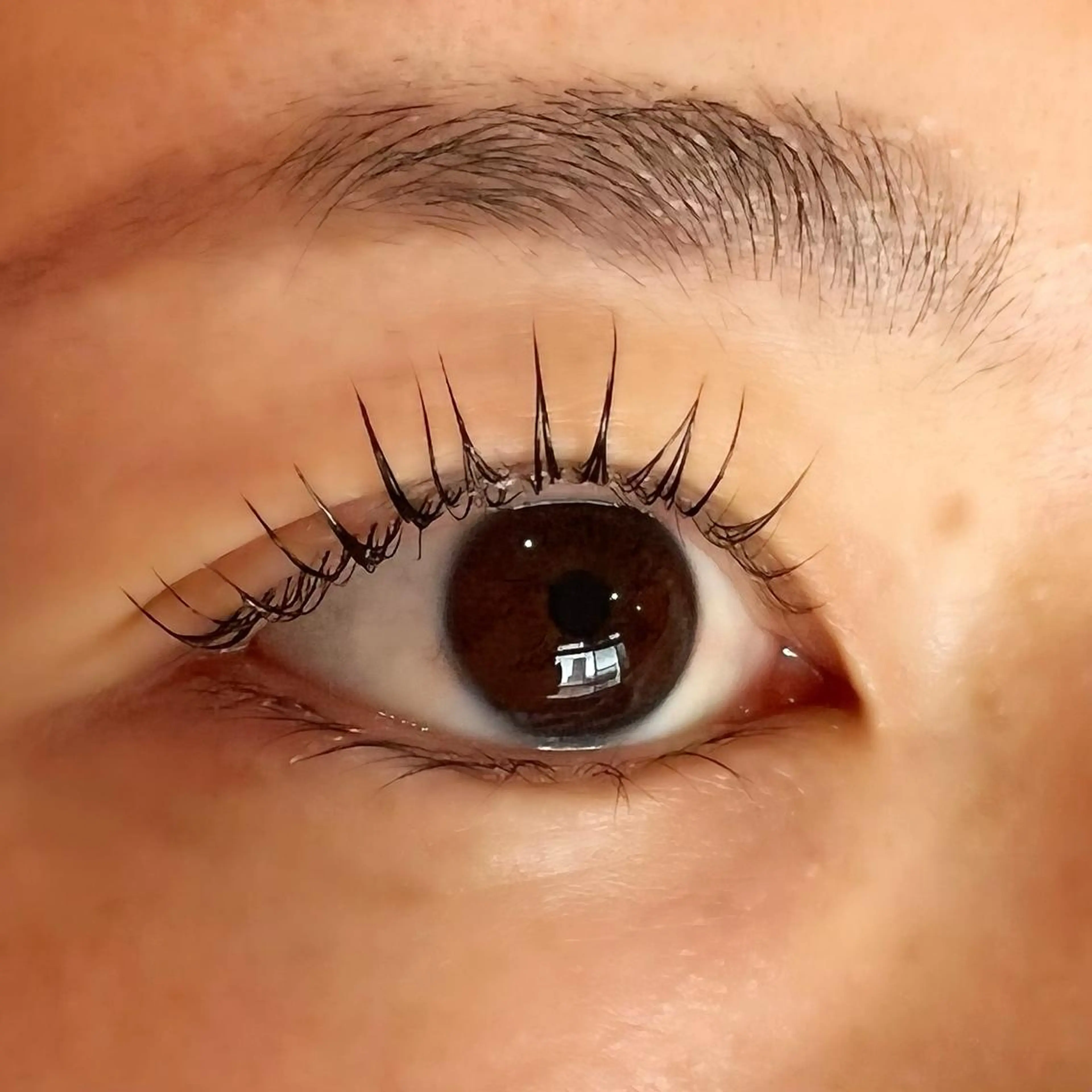 マツエク・マツパ Celeste Venus所属・🧸Celeste Venusのマツエク・マツパデザイン