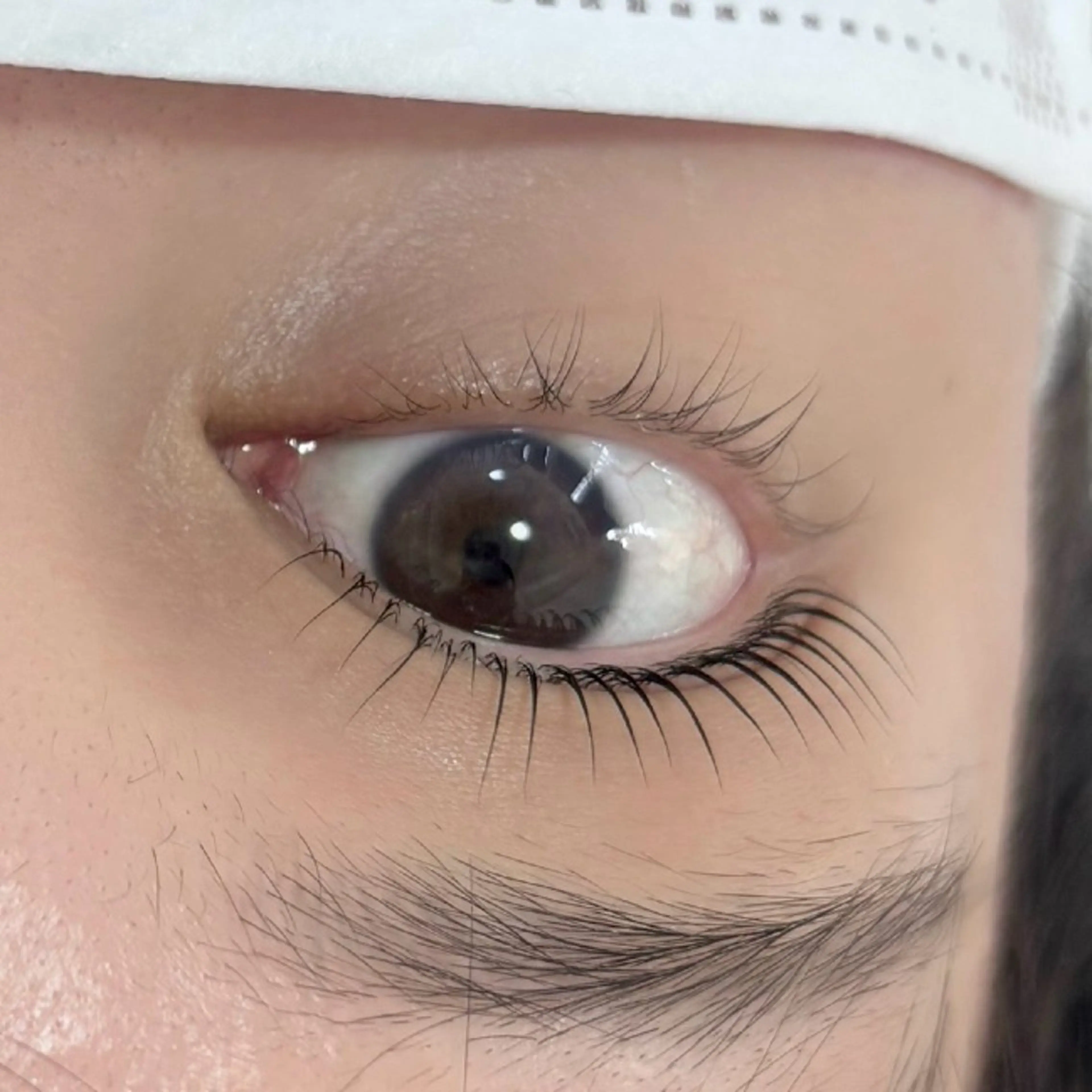 マツエク・マツパ パリジェンヌラッシュリフト マリーテレジア博多 三丁目🪽長岡のマツエク・マツパデザイン