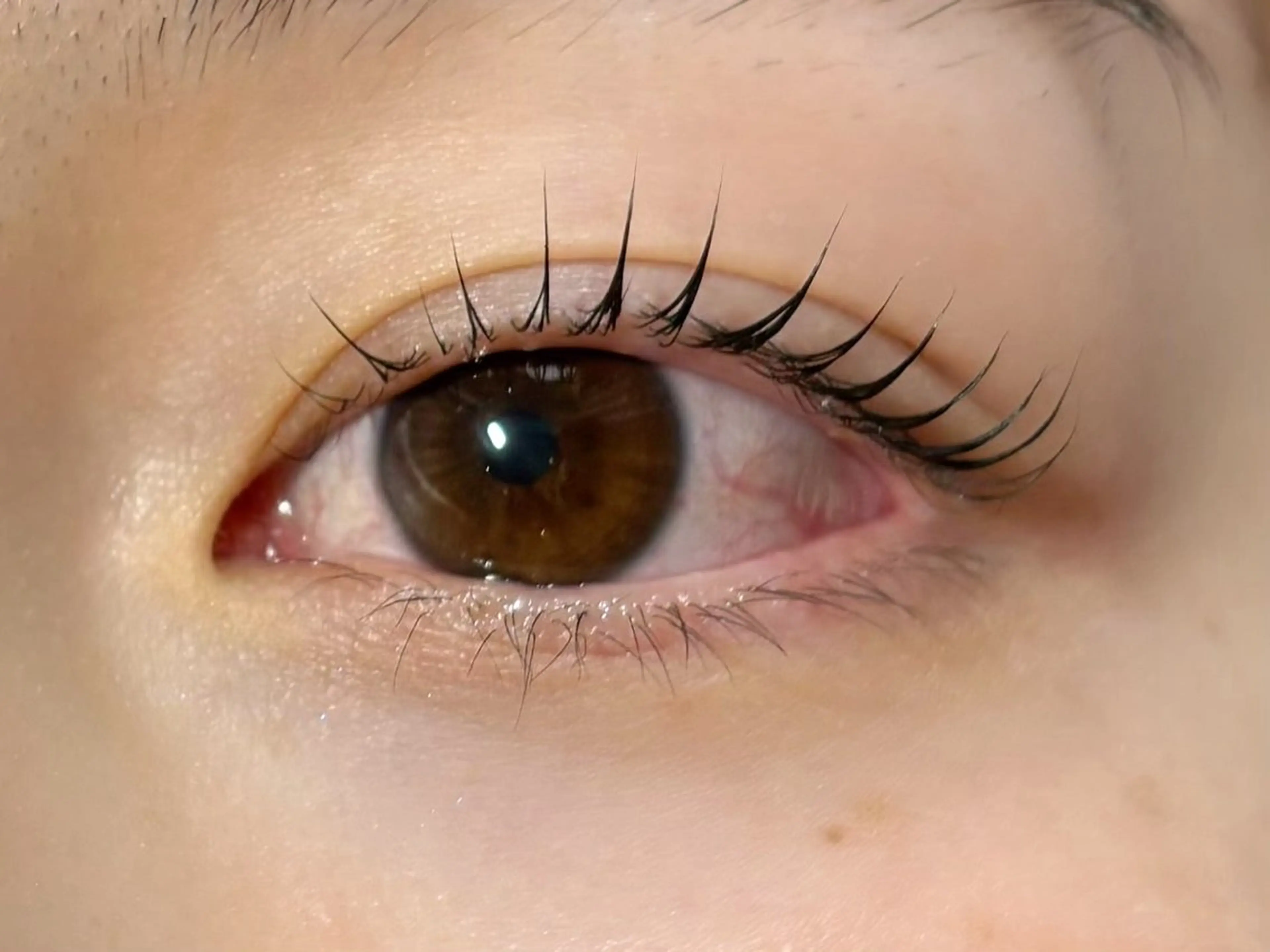 マツエク・マツパ レピア銀座店所属・𝐌𝐚𝐧𝐚 🌙のマツエク・マツパデザイン