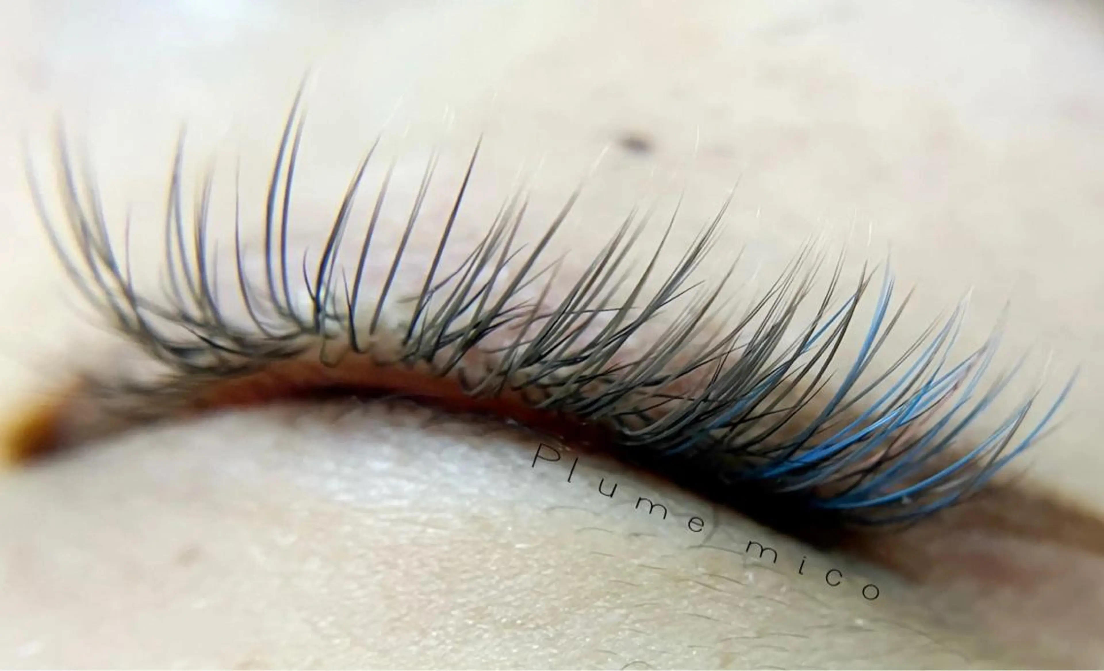 マツエク・マツパ マツエク Plume micoのマツエク・マツパデザイン