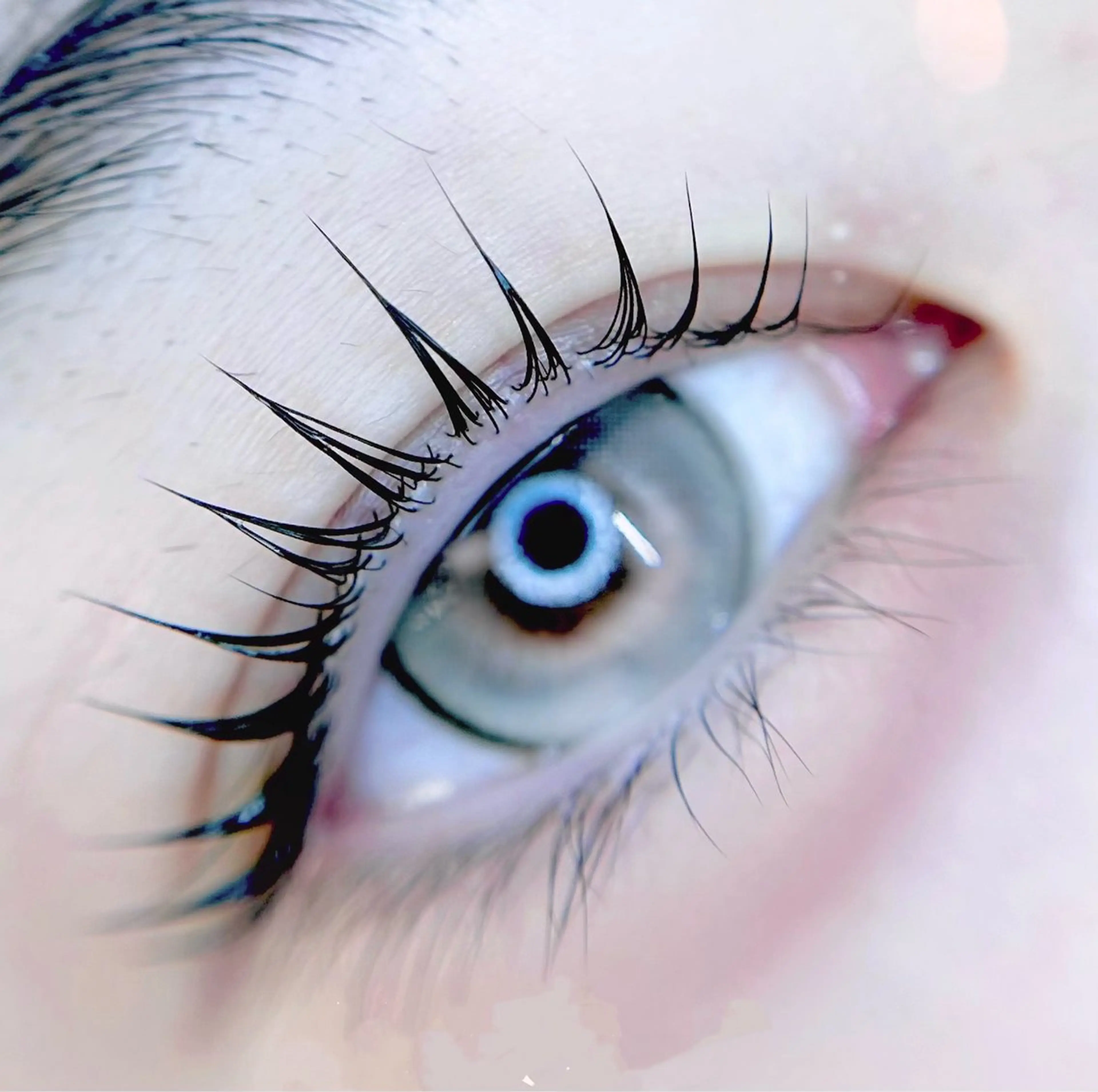マツエク・マツパ 一重×まつ毛パーマ マツパ eyelist. mizuki🐈‍⬛の眉毛・アイブロウイメージ