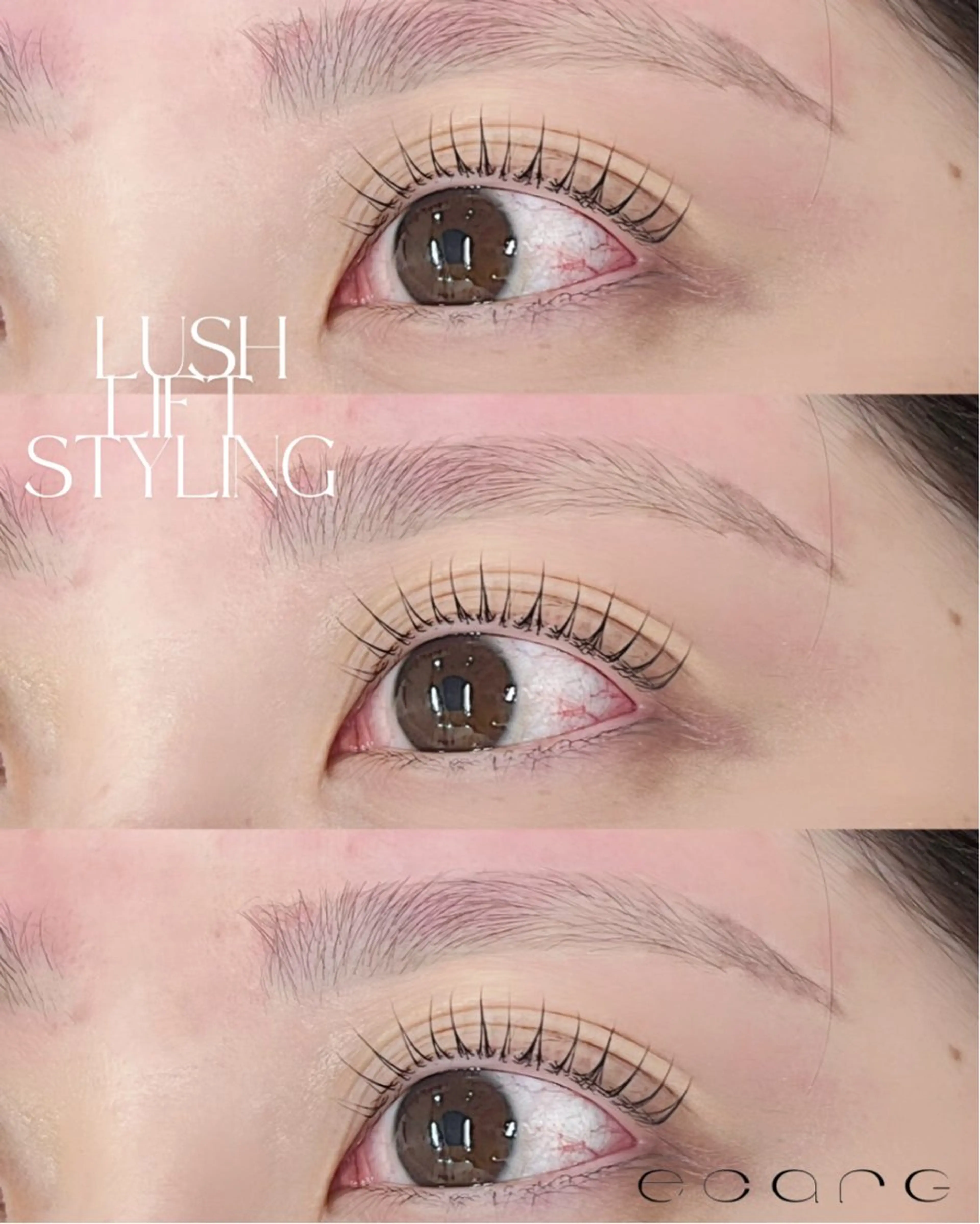 マツエク・マツパ ecarg 大宮店のマツエク・マツパデザイン