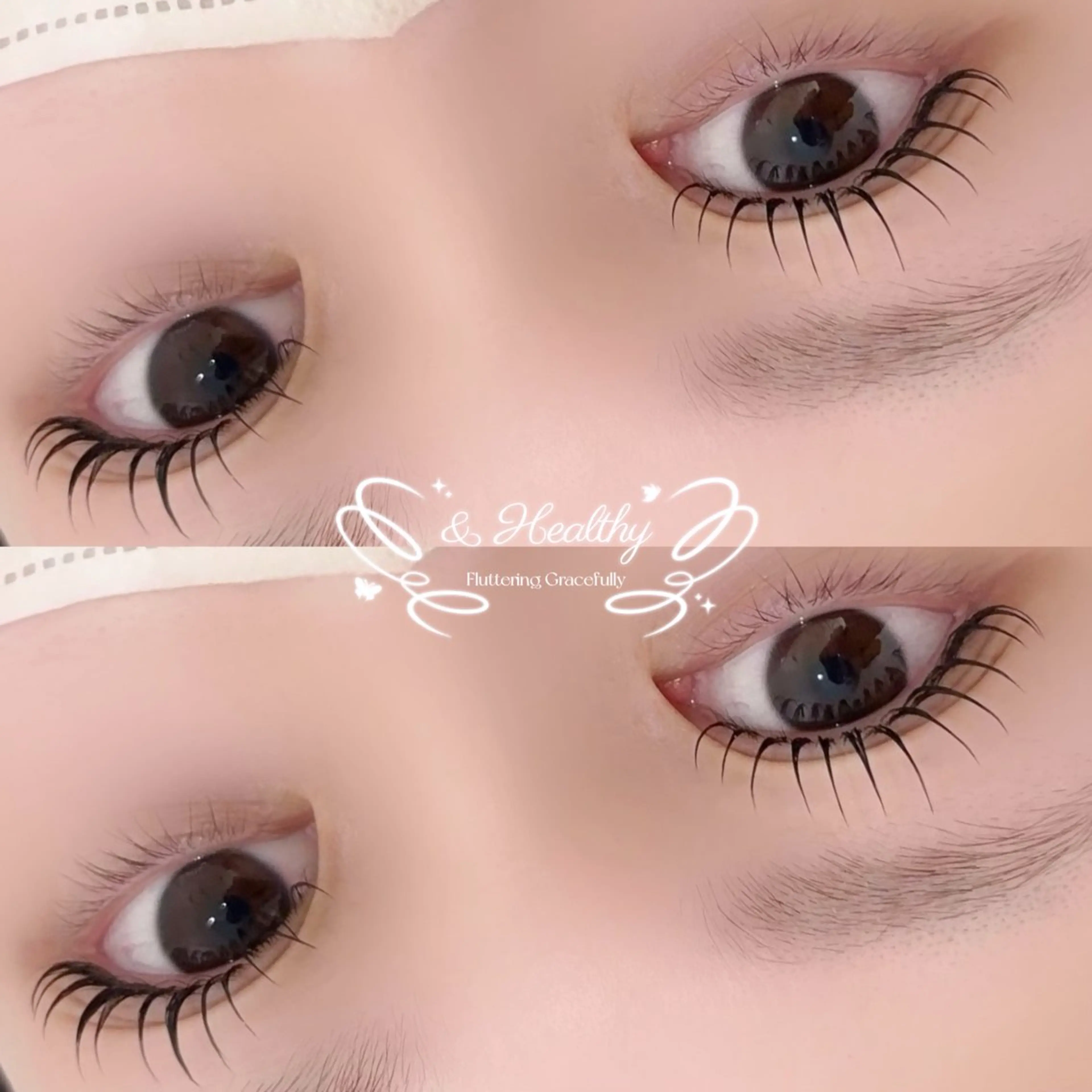 アンドヘルシー+LEDフラットラッシュ140本(オフ込み)🪄の写真