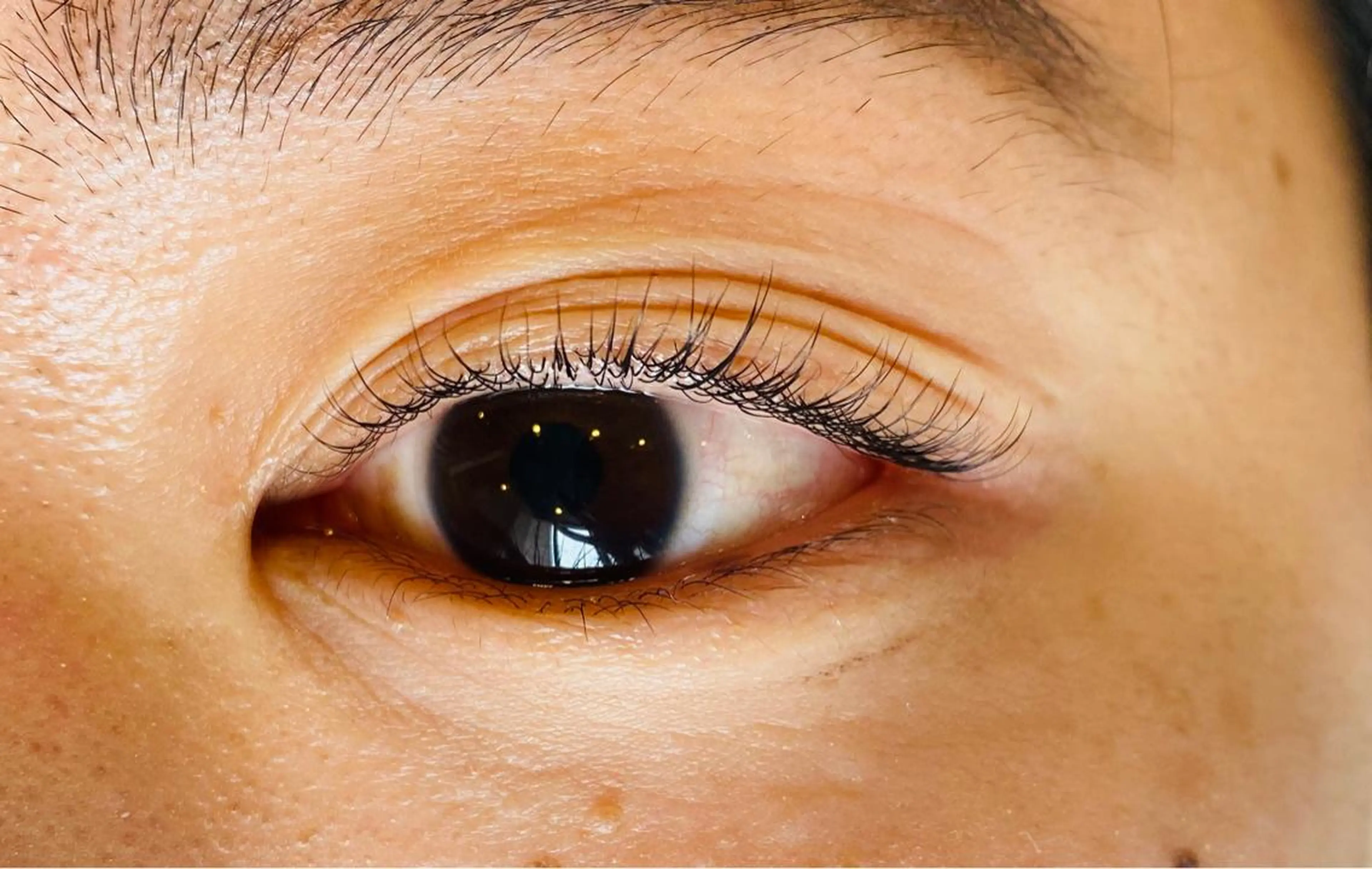 マツエク・マツパ まつげパーマ Butterfly武蔵小杉所属・Butterfly 加藤のマツエク・マツパデザイン