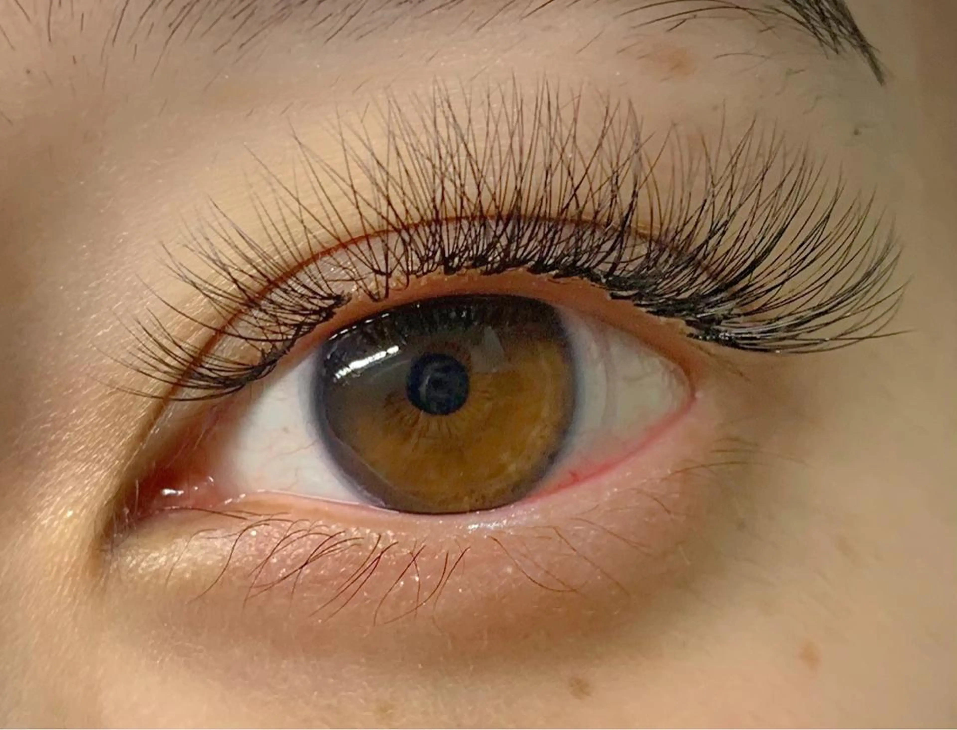 マツエク・マツパ Luana所属・🕊 Luana 🌷︎の眉毛・アイブロウイメージ