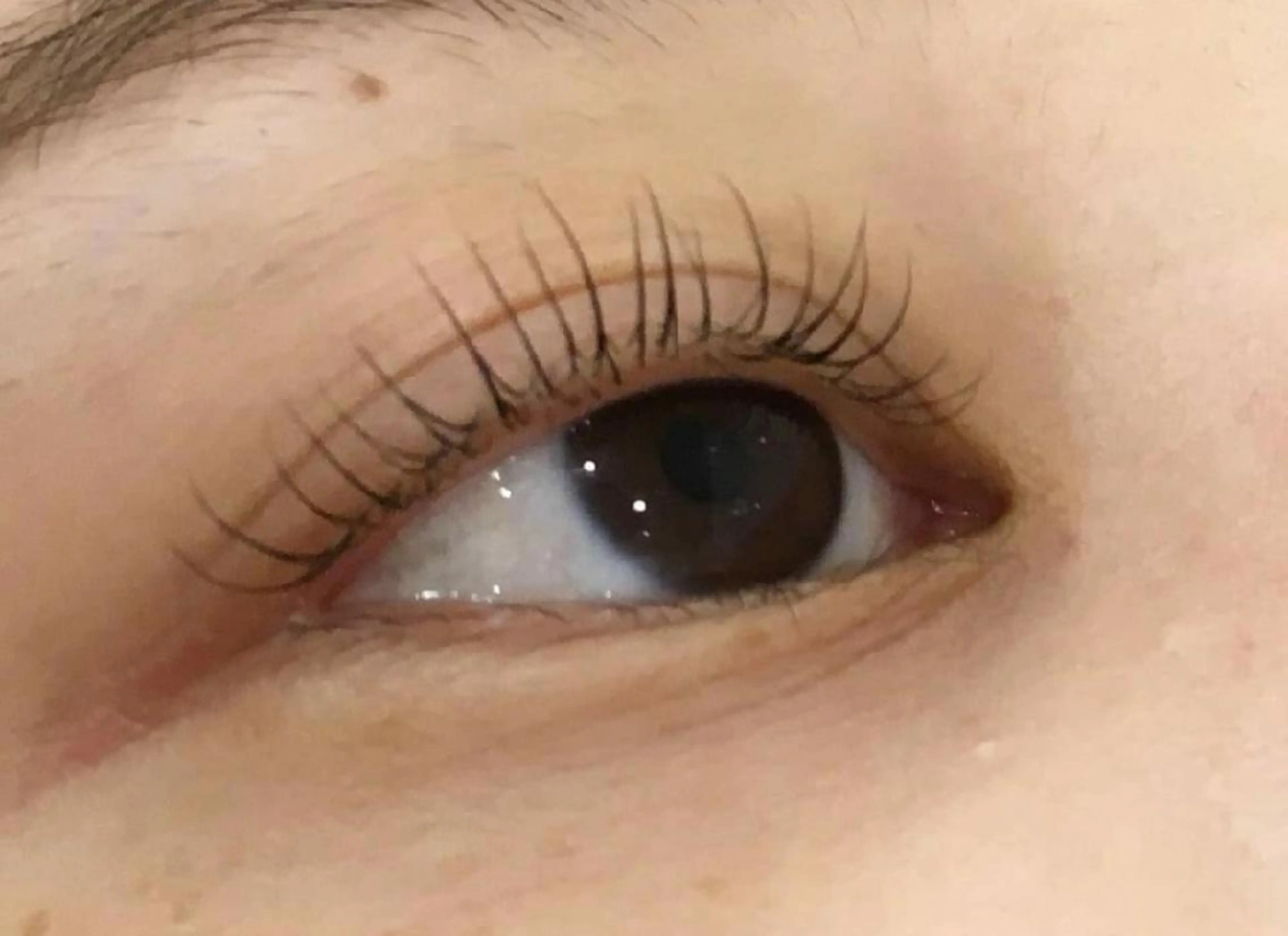 マツエク・マツパ まつげパーマ meRK 京都駅前店◽️かほのマツエク・マツパデザイン