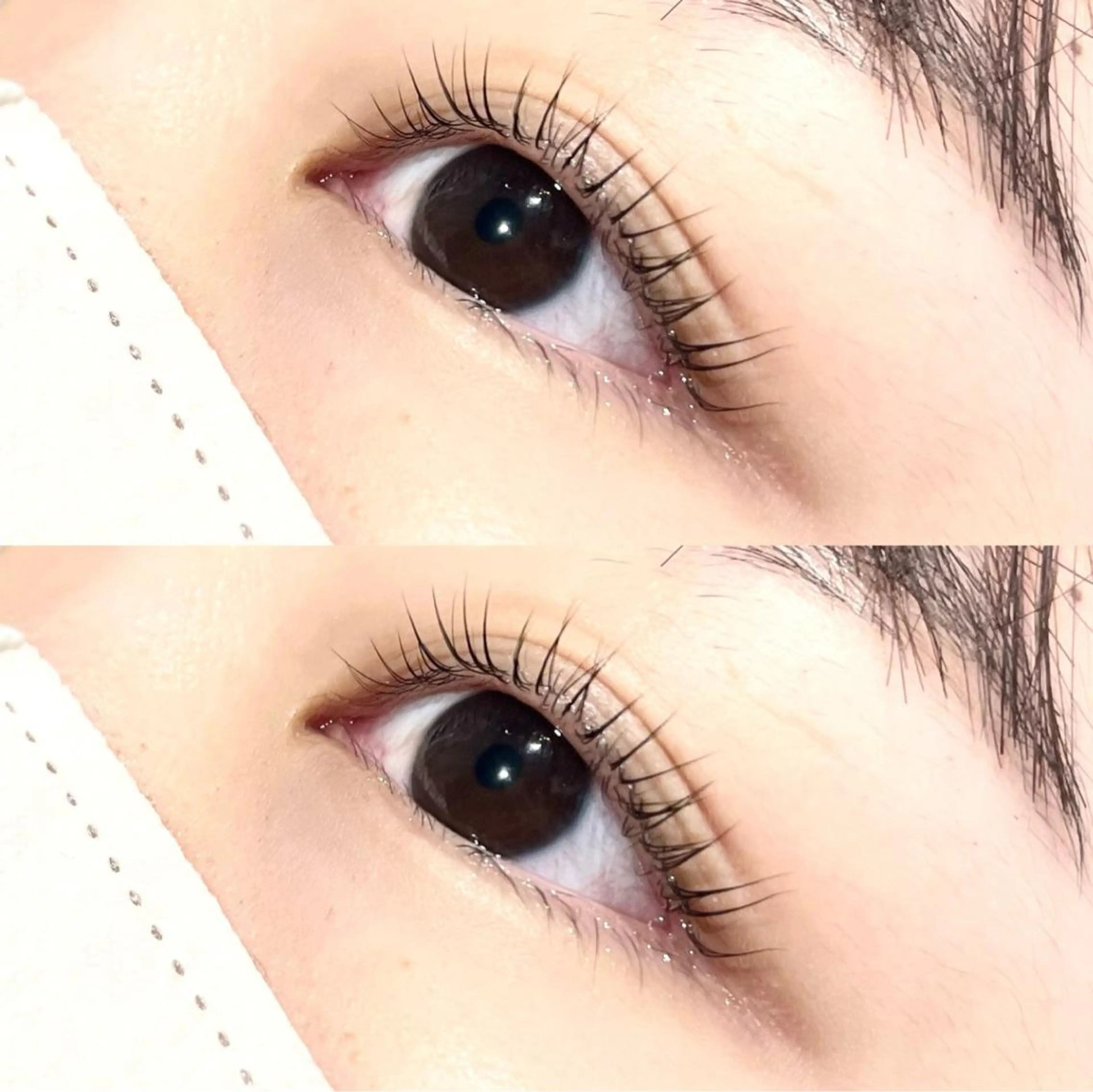 マツエク・マツパ パリジェンヌラッシュリフト ◡̈︎eyelist ⑅︎Reinaのマツエク・マツパデザイン