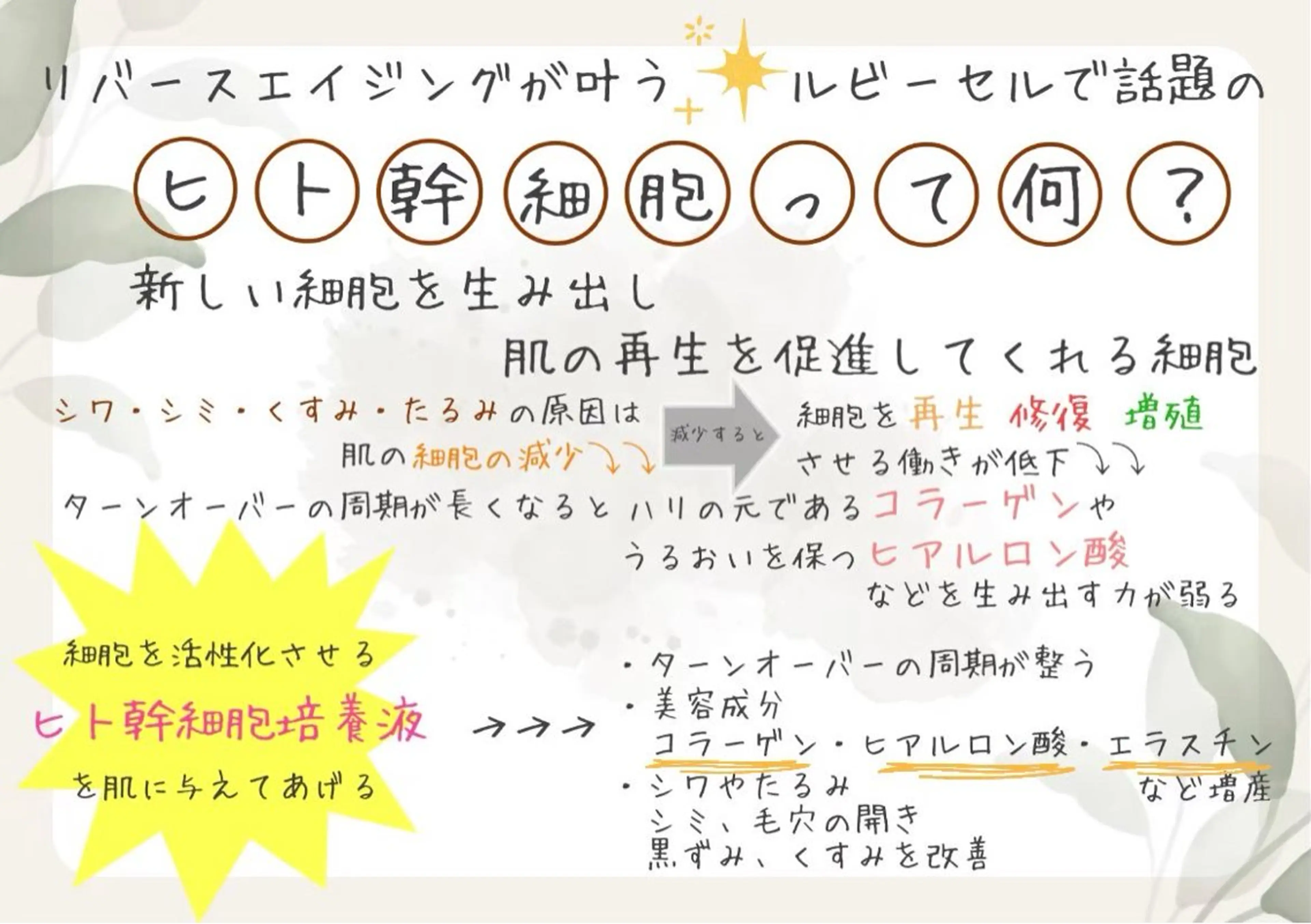 エステ 眉毛と韓国肌質改善 サロン　和泉府中のエステ・リラクイメージ