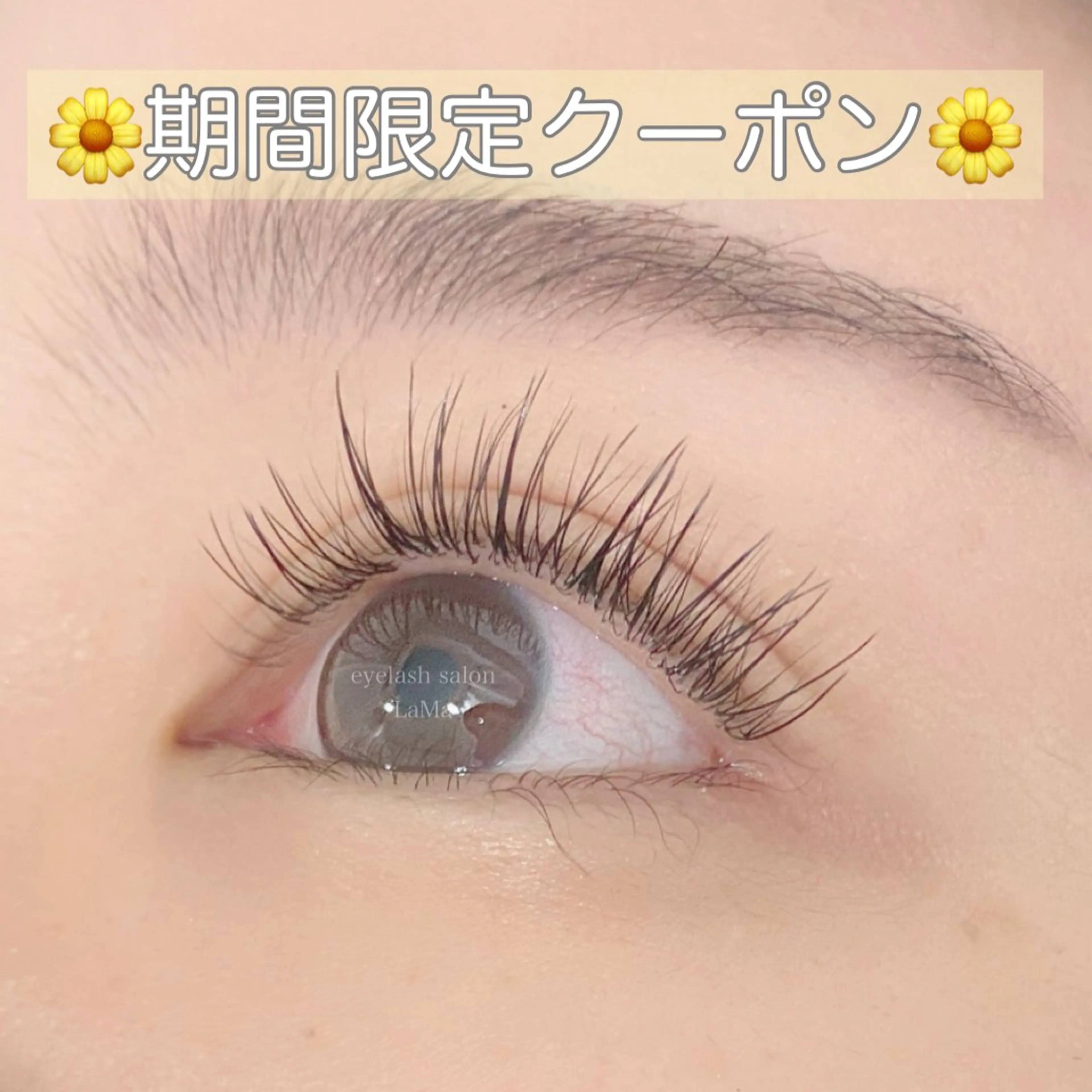 マツエク・マツパ フラットラッシュ LaMa staff★のマツエク・マツパデザイン