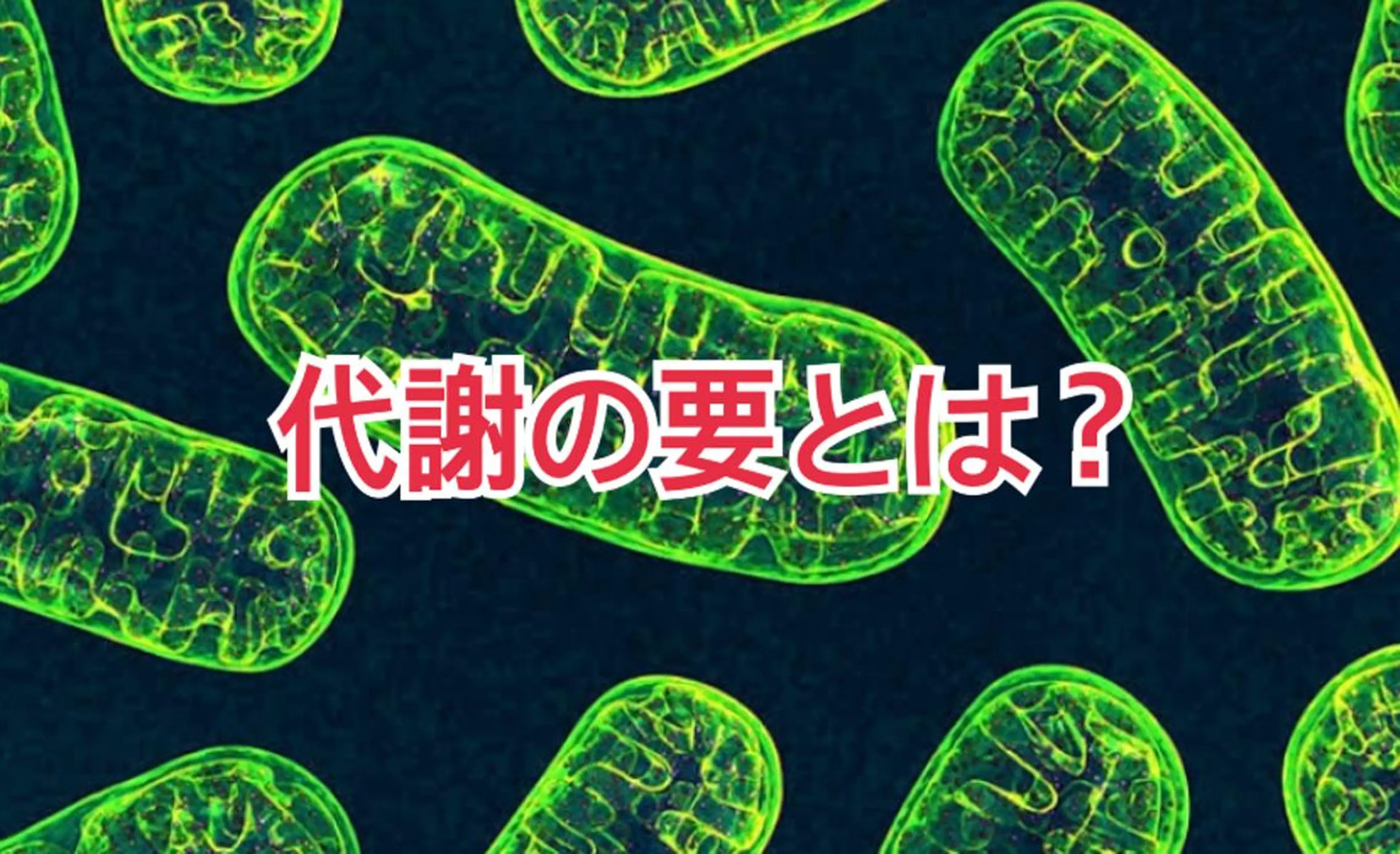 ショート カラー パーマ ヘアアレンジ メンズ キッズ ネイル マツエク・マツパ ‍痩身＆ボディ 結果出し🌟丹野のエステ・リラクイメージ