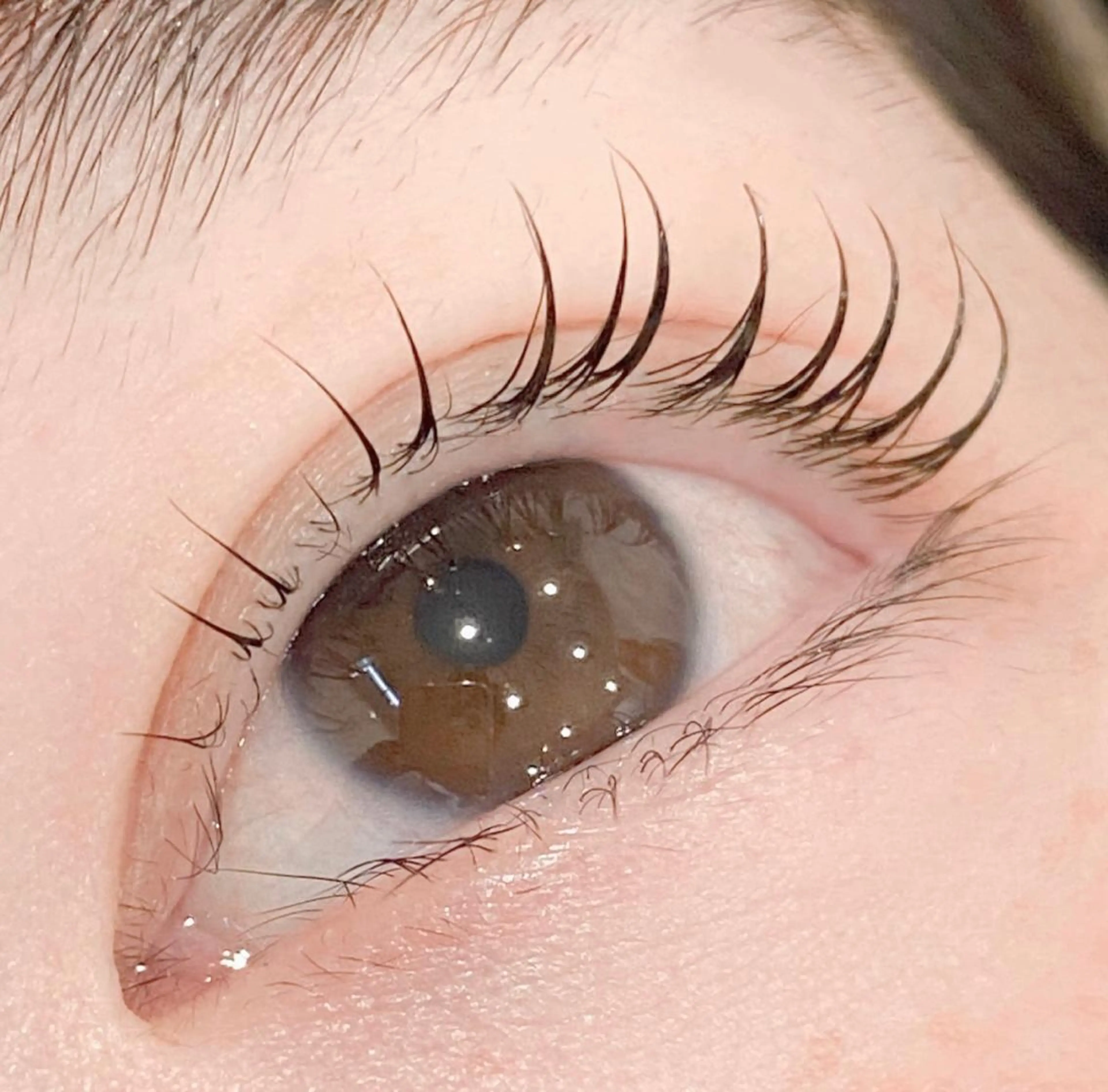 マツエク・マツパ ナチュラル PROGRESS 龍ヶ崎 小泉🦋のマツエク・マツパデザイン