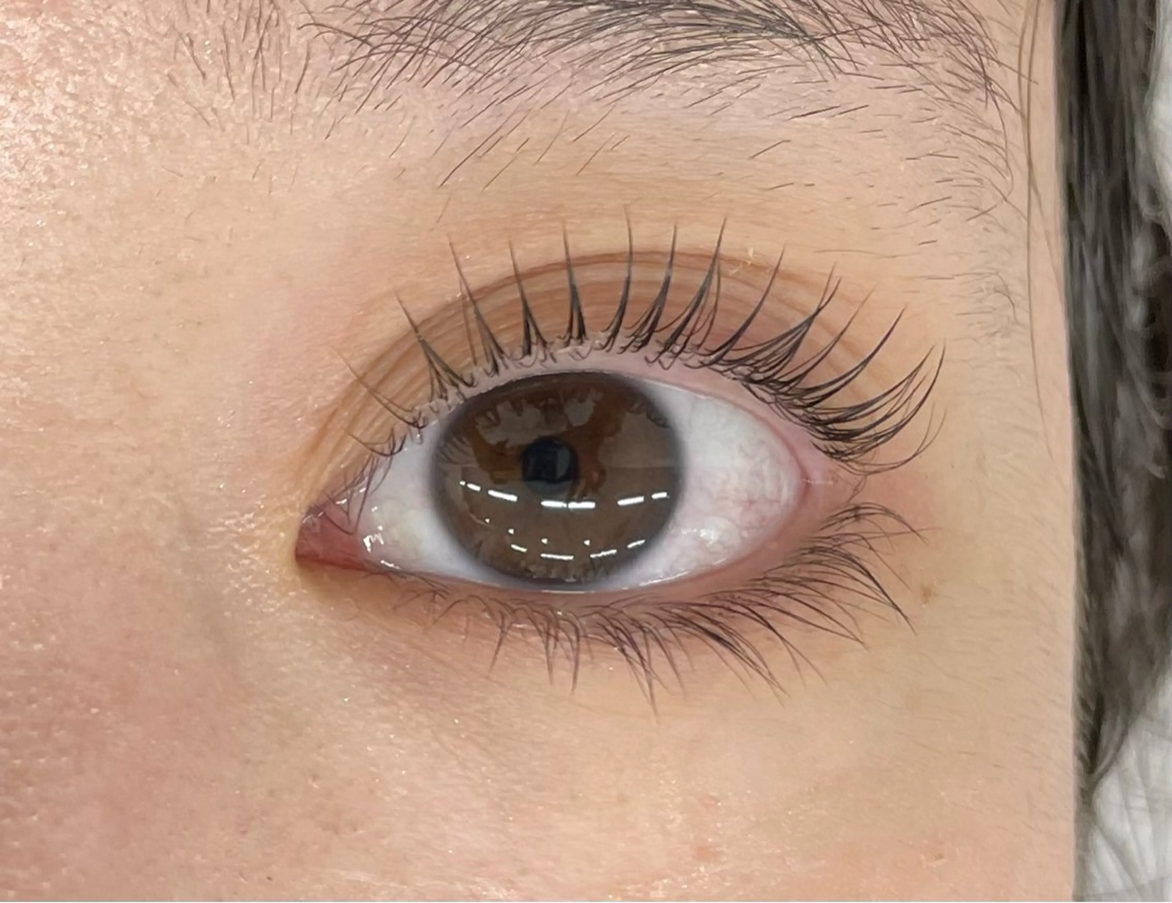 マツエク・マツパ マツパ マリーテレジア 🪻YUKAのマツエク・マツパデザイン